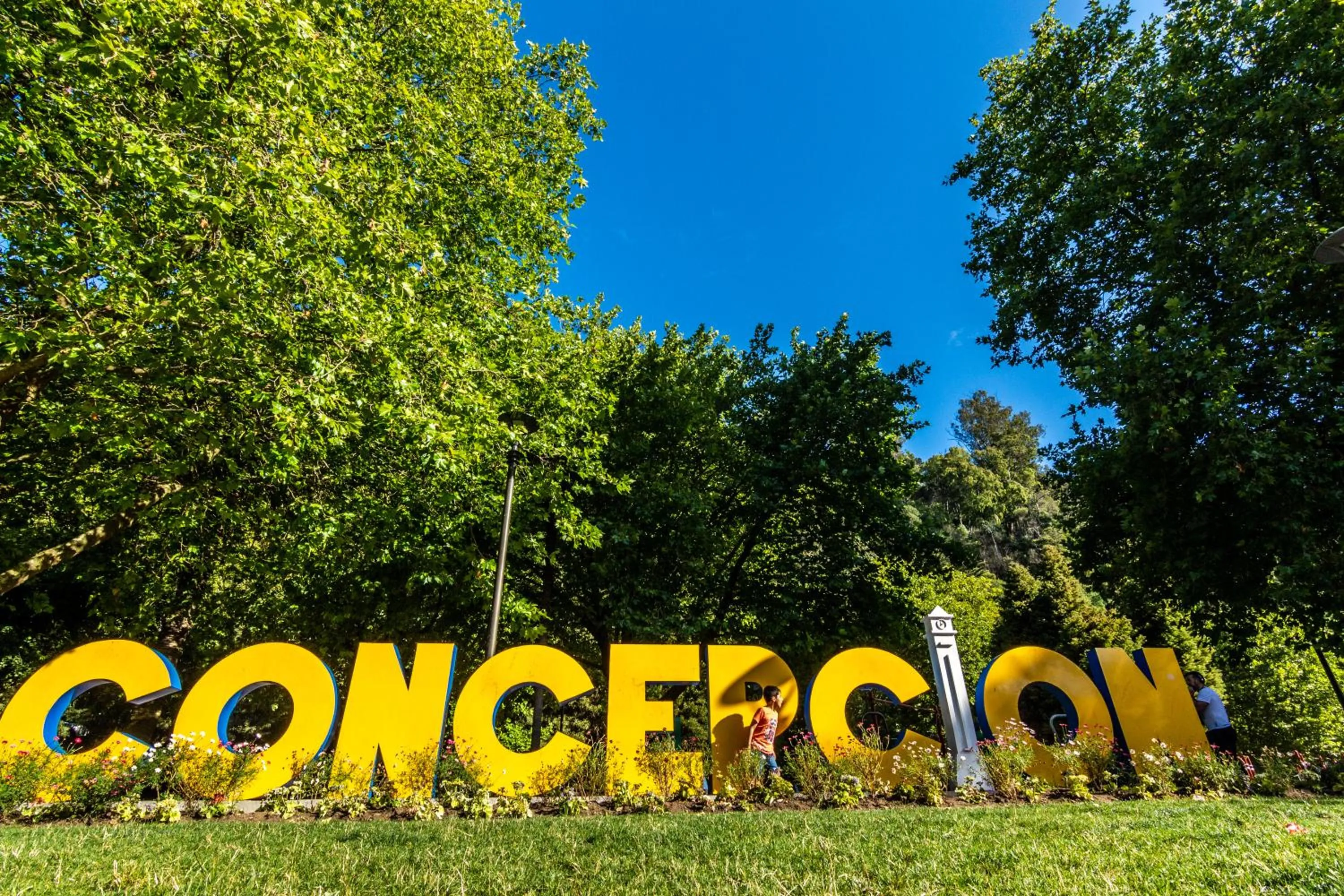 MDS Hotel Concepción