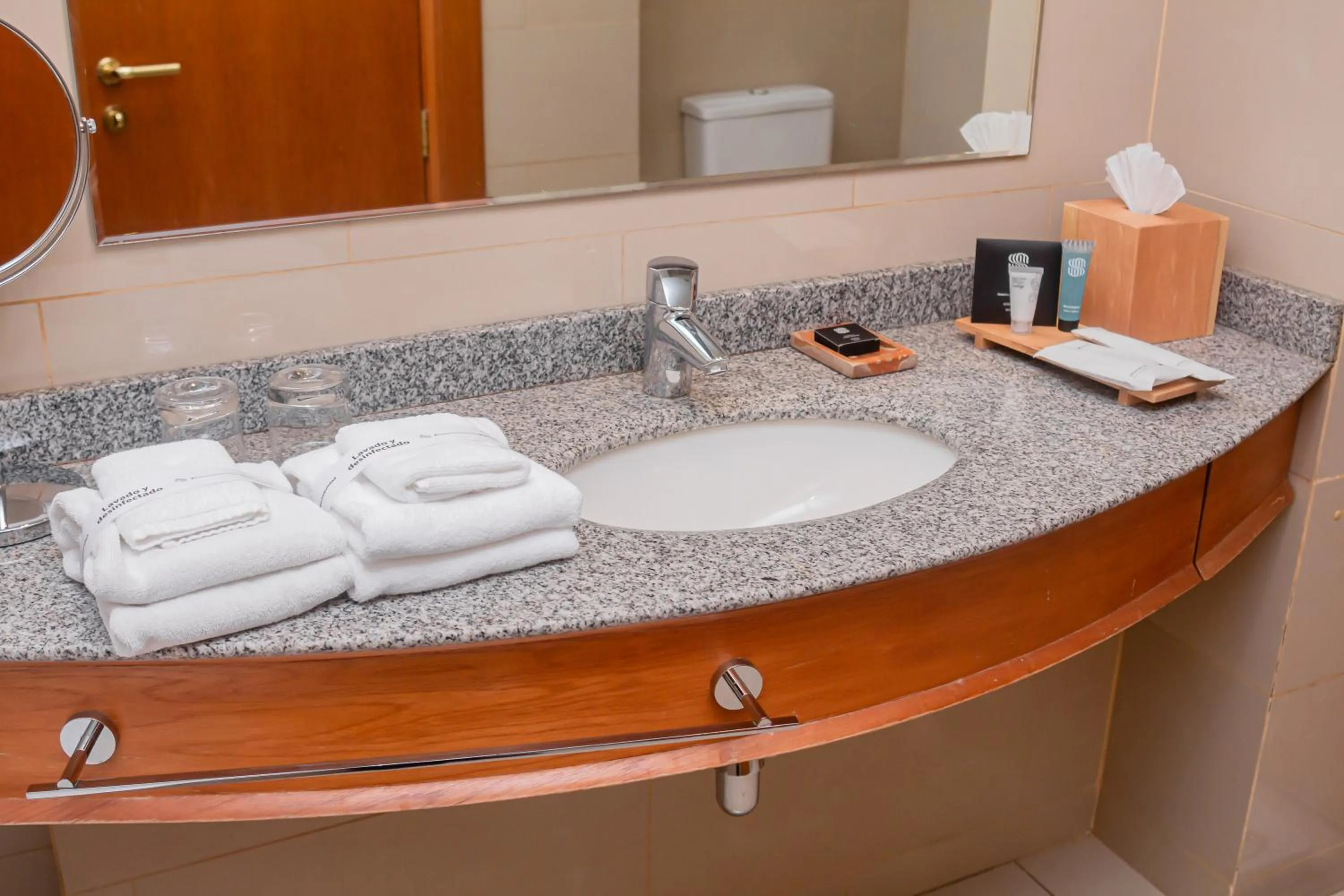 Bathroom in Sonesta Hotel Osorno