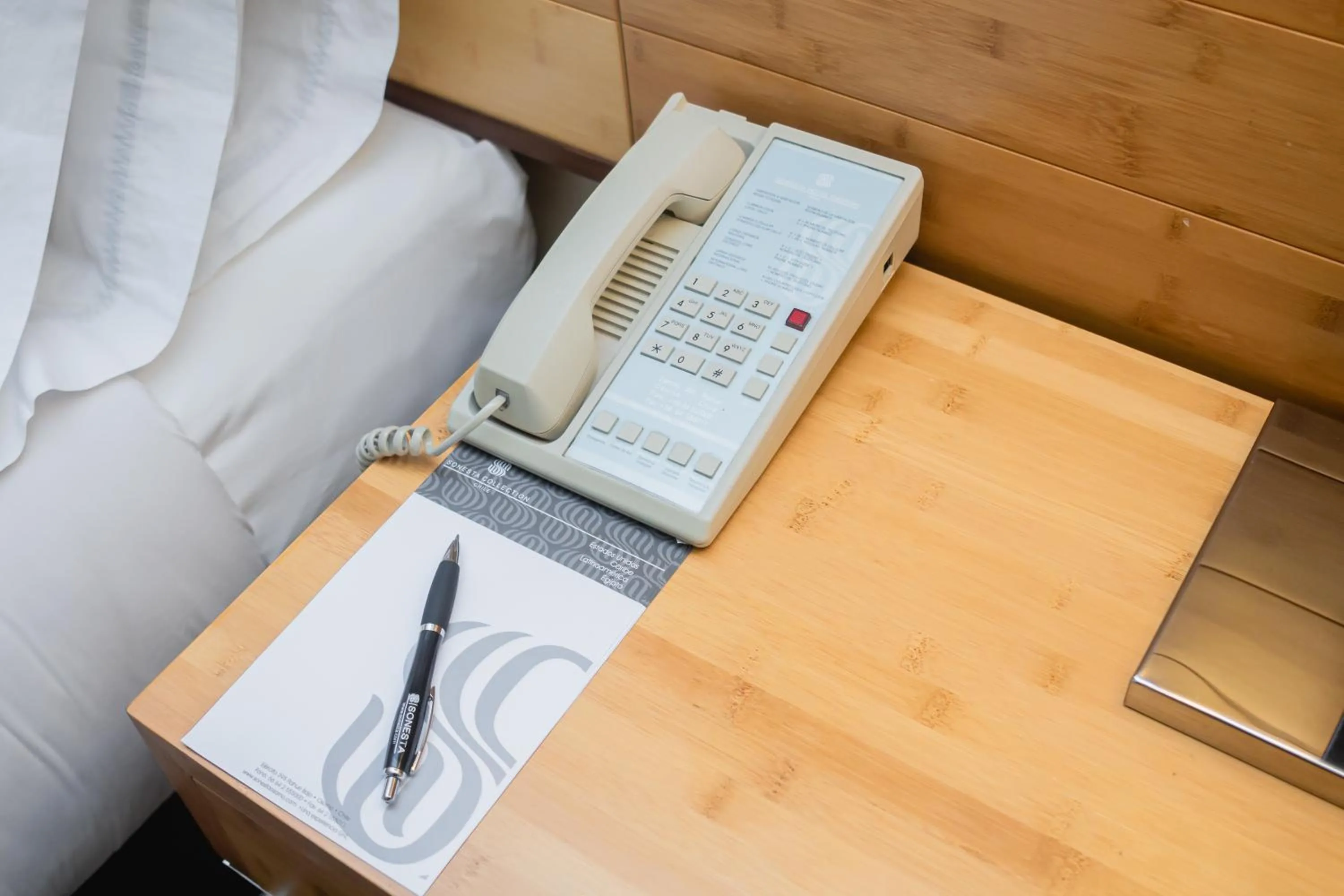 View (from property/room) in Sonesta Hotel Osorno