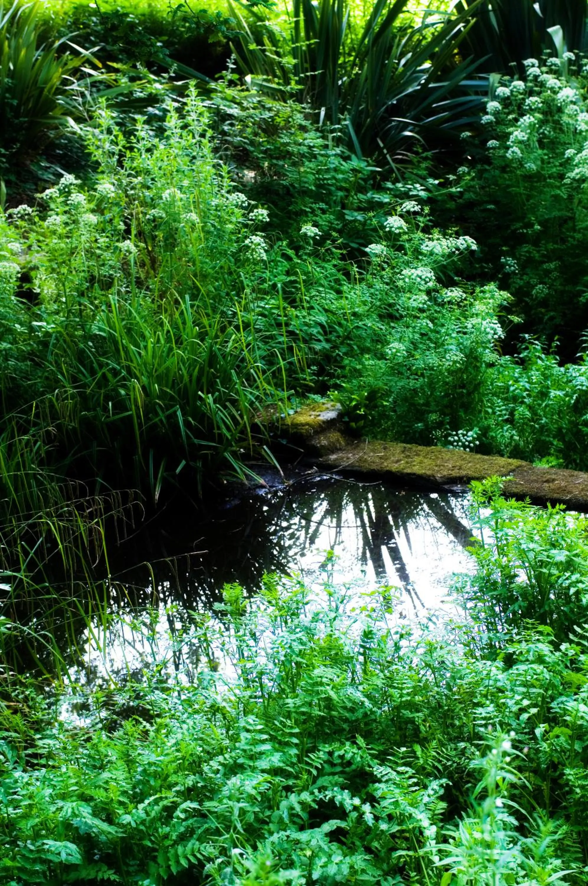 Natural landscape in Miskin Manor Hotel