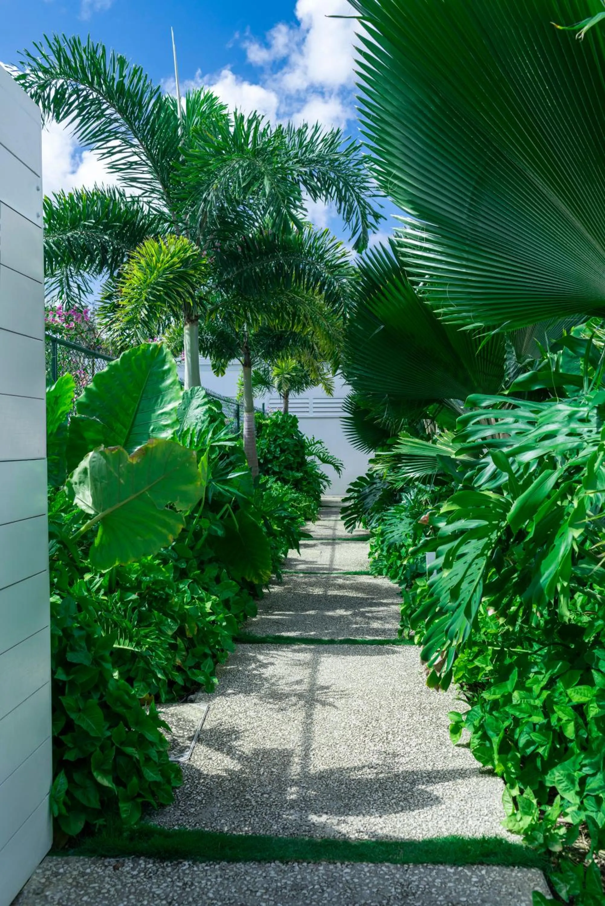 Spring in Mullins Grove