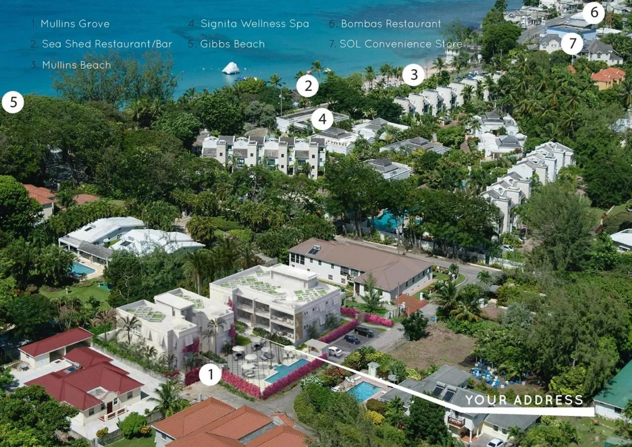 Day in Mullins Grove