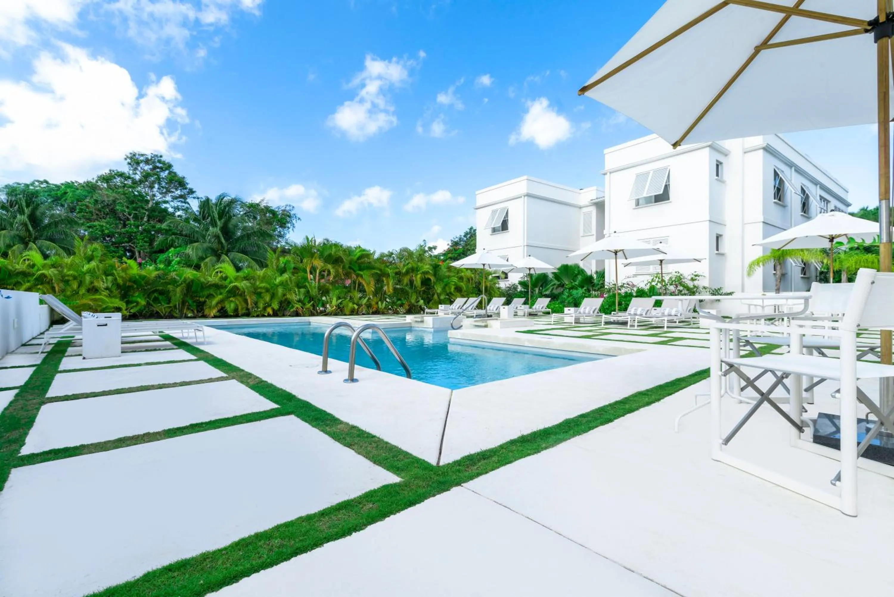 Day in Mullins Grove