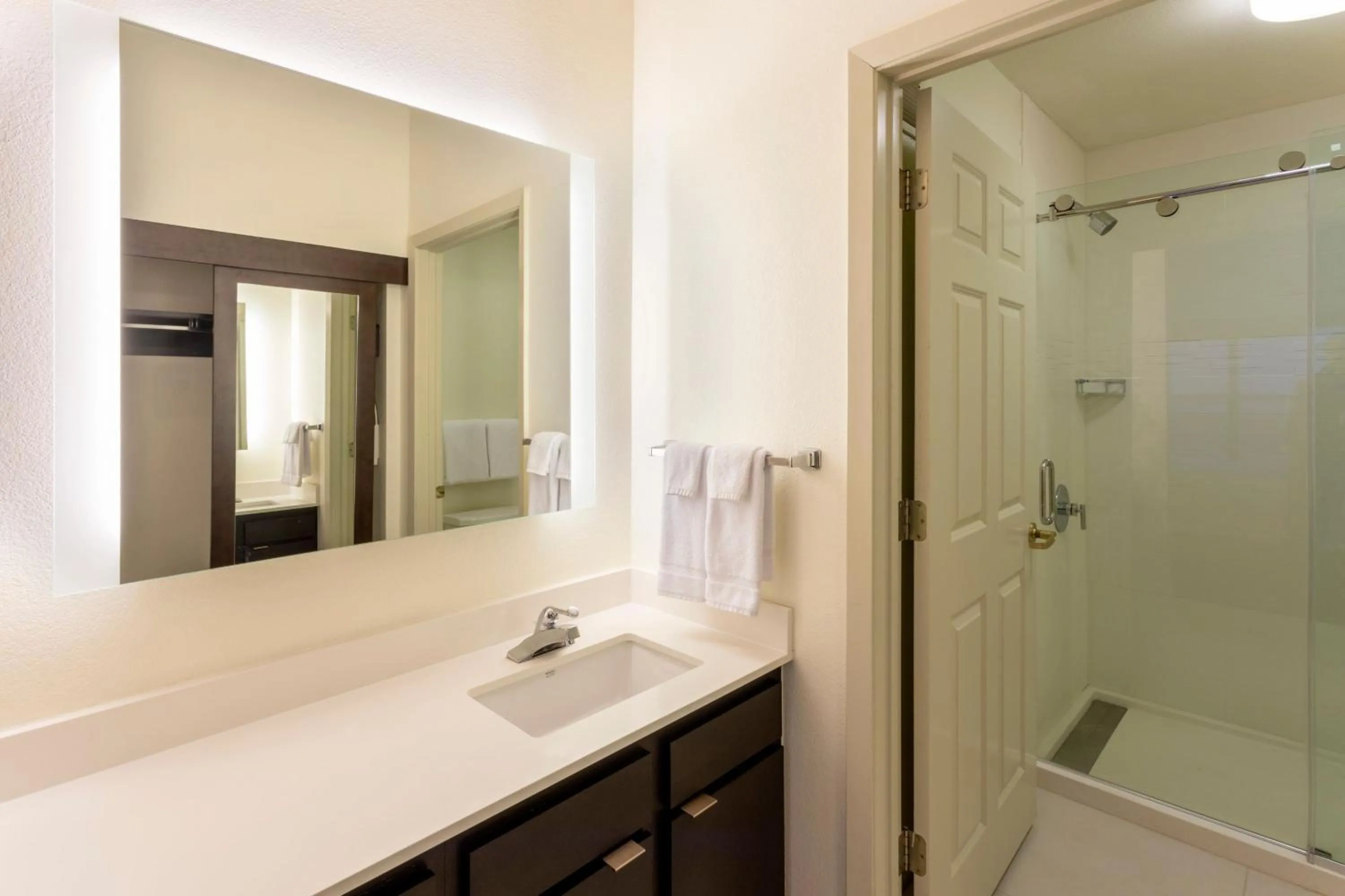 Bathroom in Residence Inn Minneapolis St. Paul/Roseville