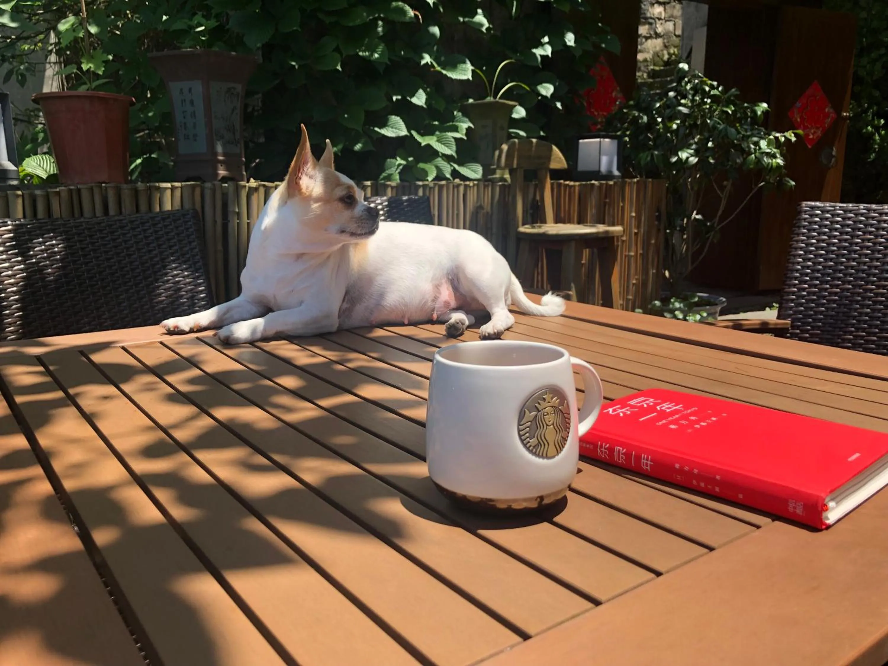 Wang Jiang Reclusive Boutique Inn