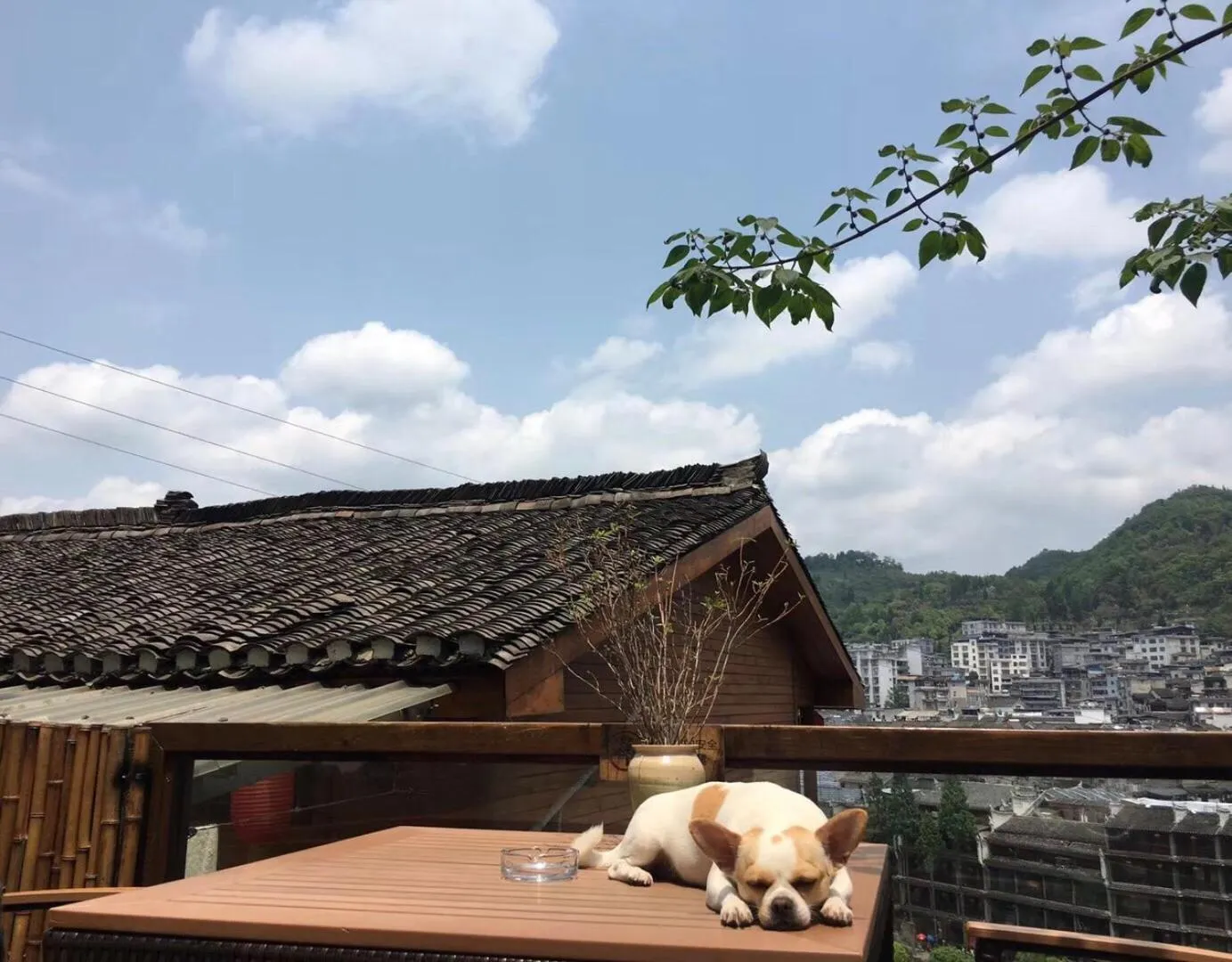 Wang Jiang Reclusive Boutique Inn