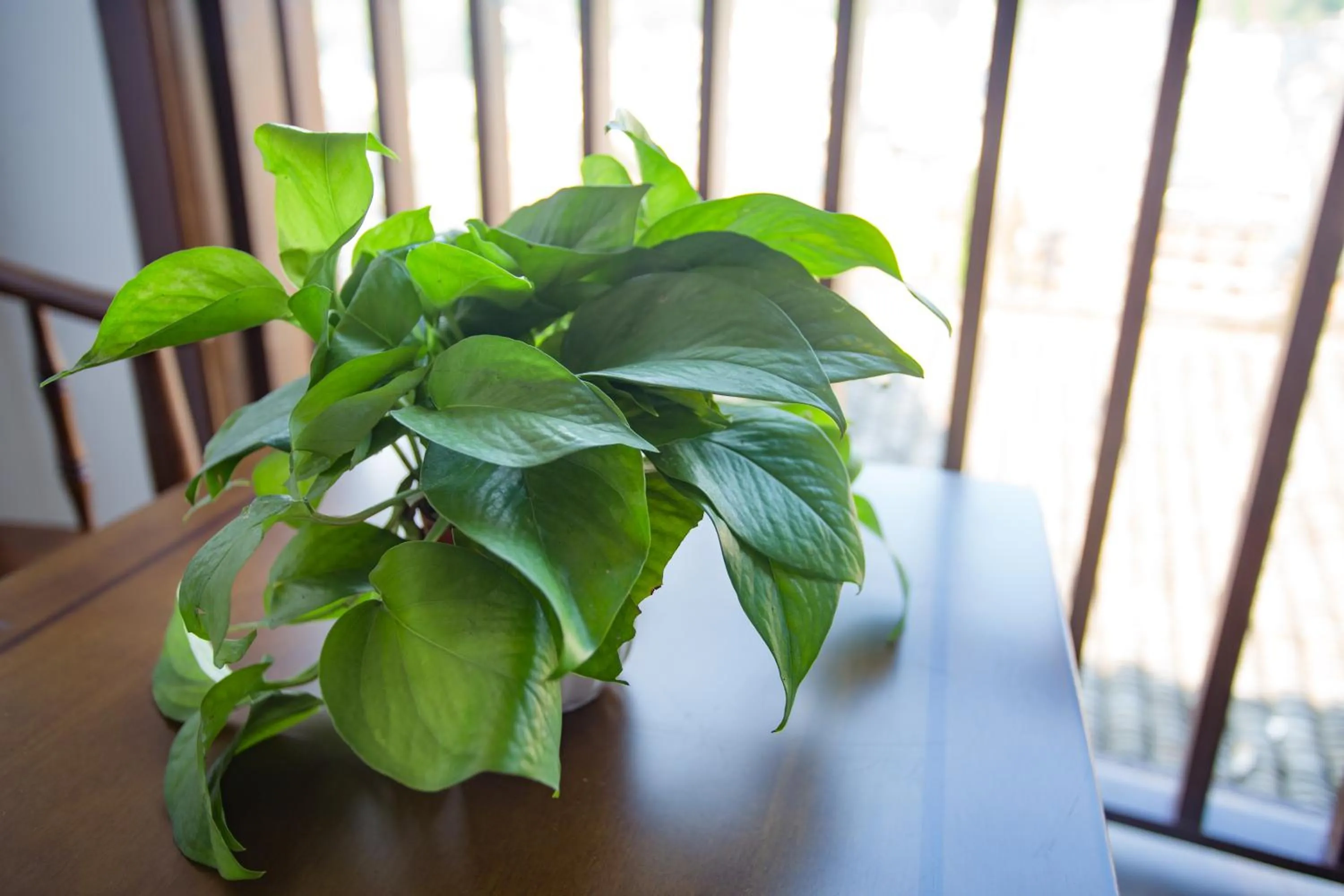 Wang Jiang Reclusive Boutique Inn