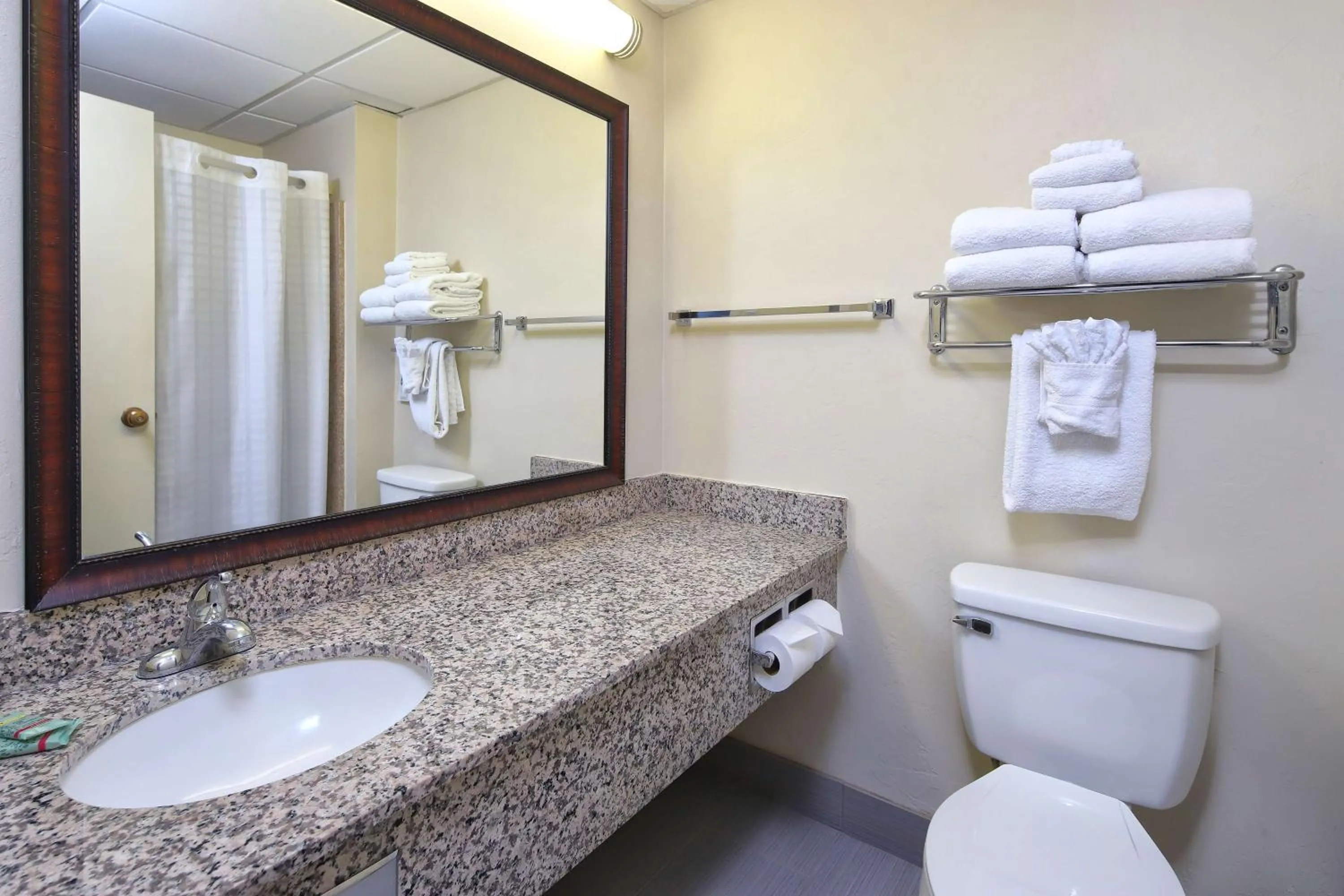 Bathroom in Best Western Tucson Intl Airport Hotel & Suites