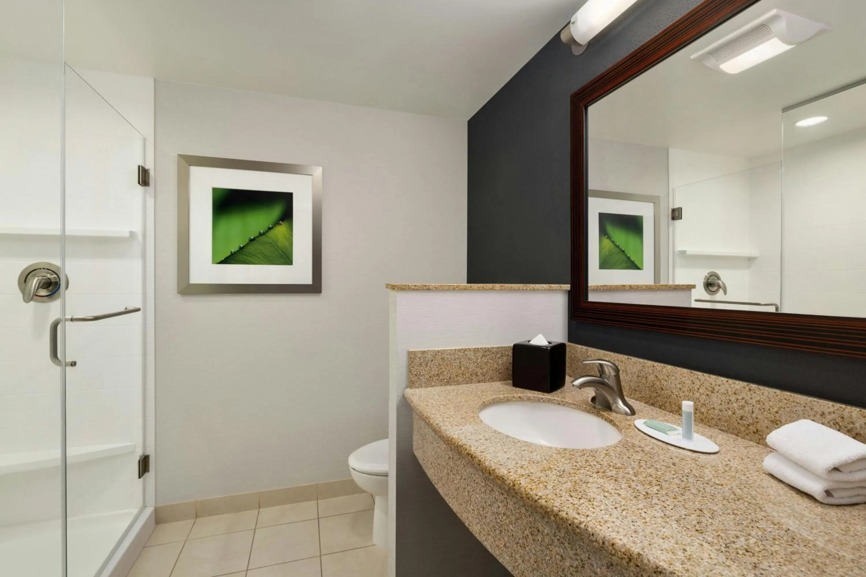 Bathroom in Courtyard Greenville