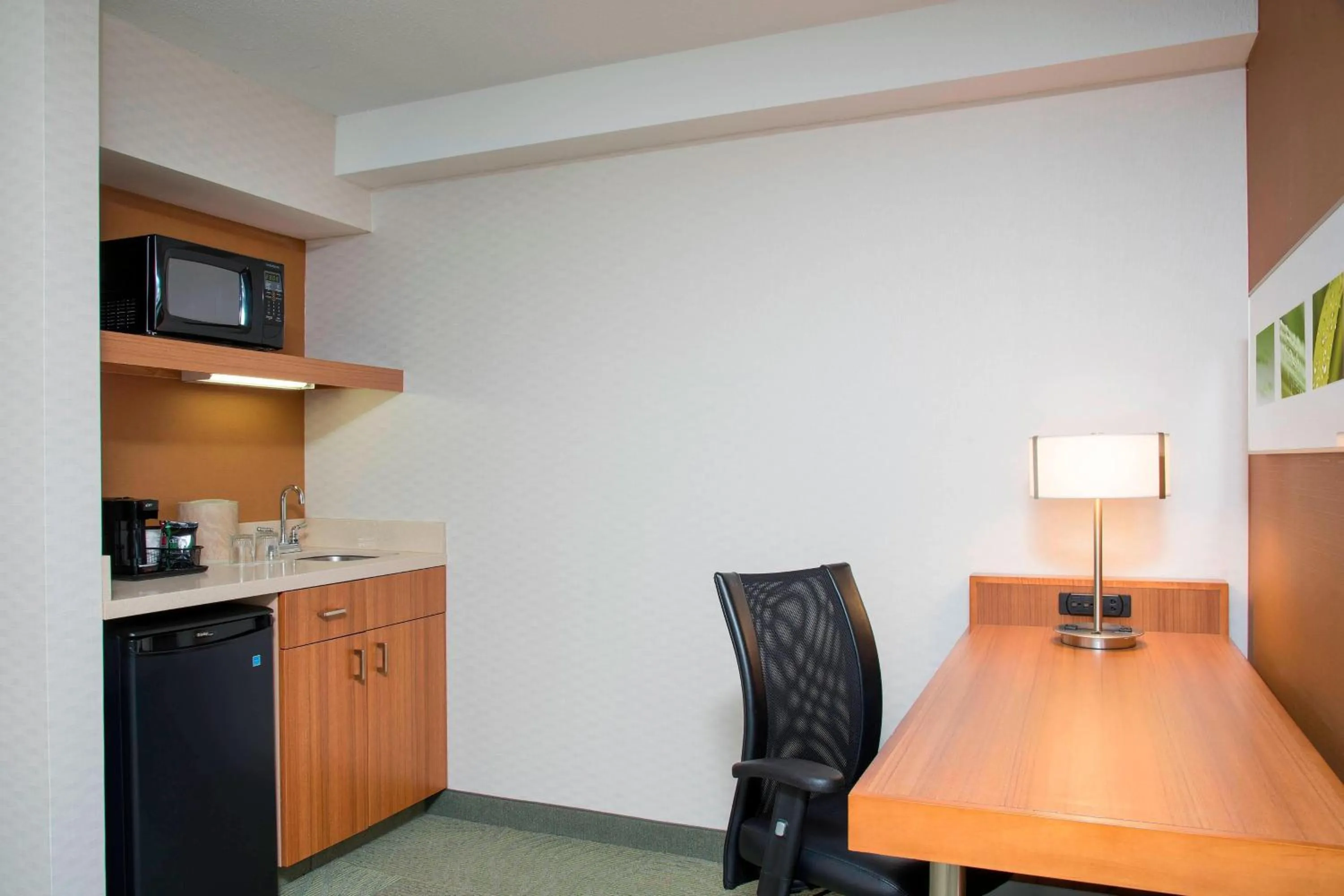 Kitchen or kitchenette in SpringHill Suites by Marriott Peoria