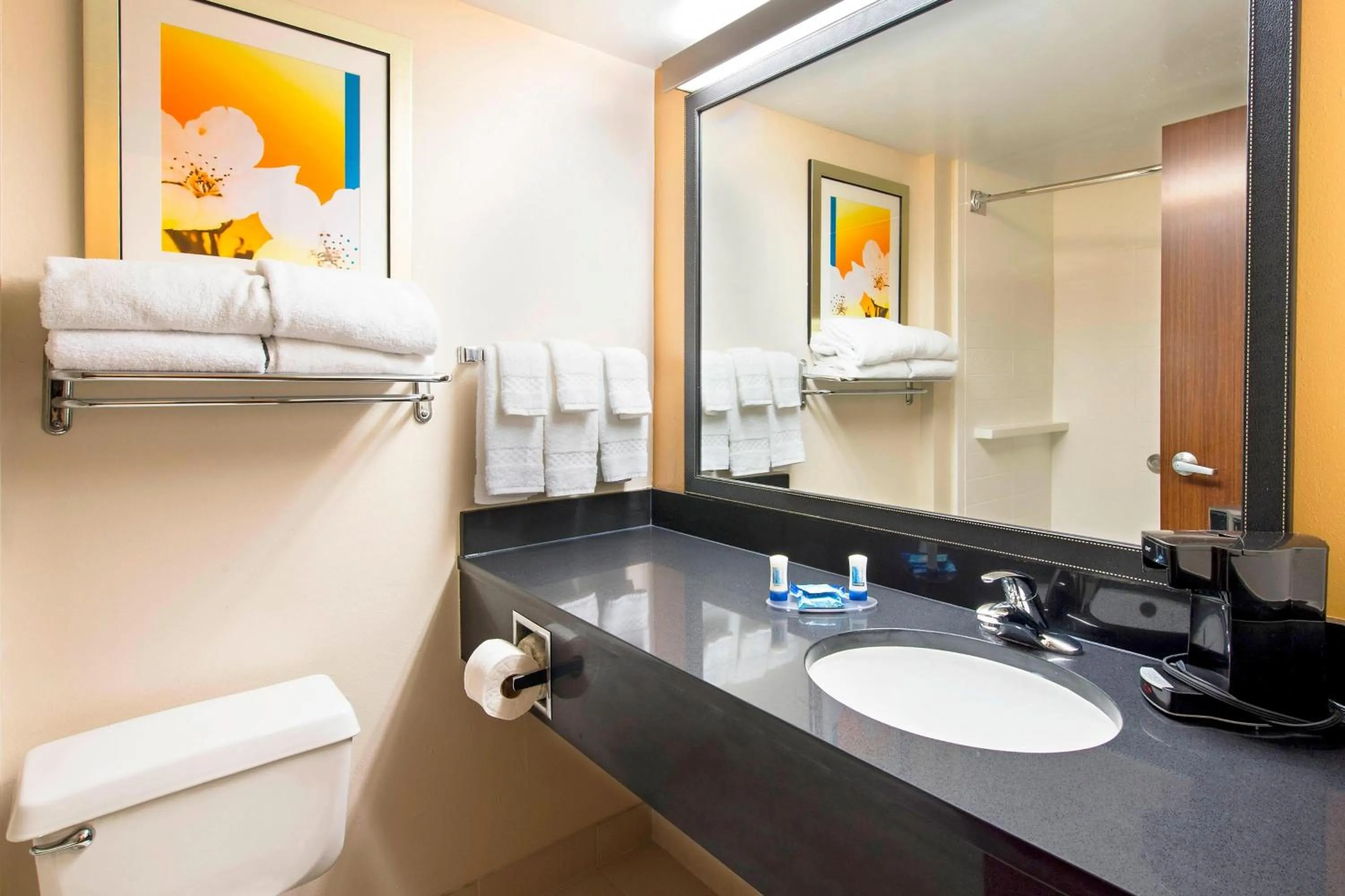 Bathroom in Fairfield Inn by Marriott Pensacola I-10