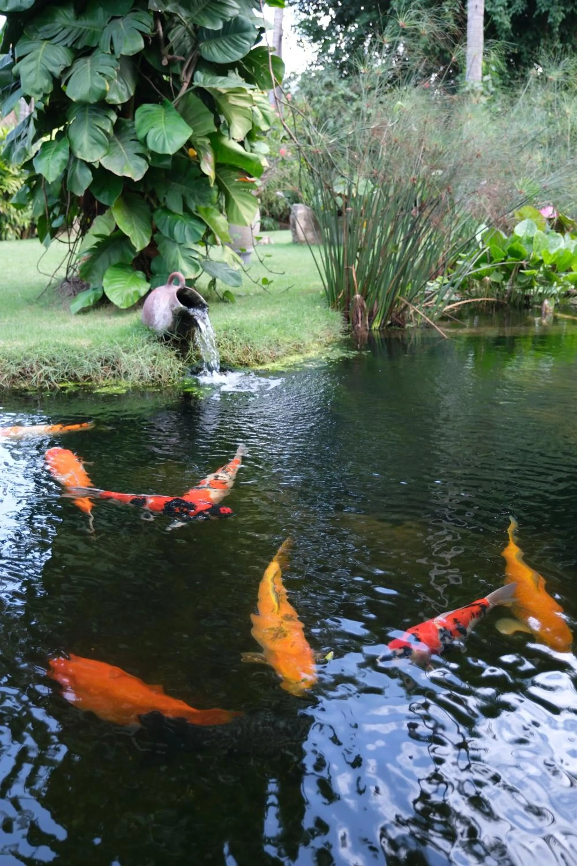 Property building in Jivana Resort