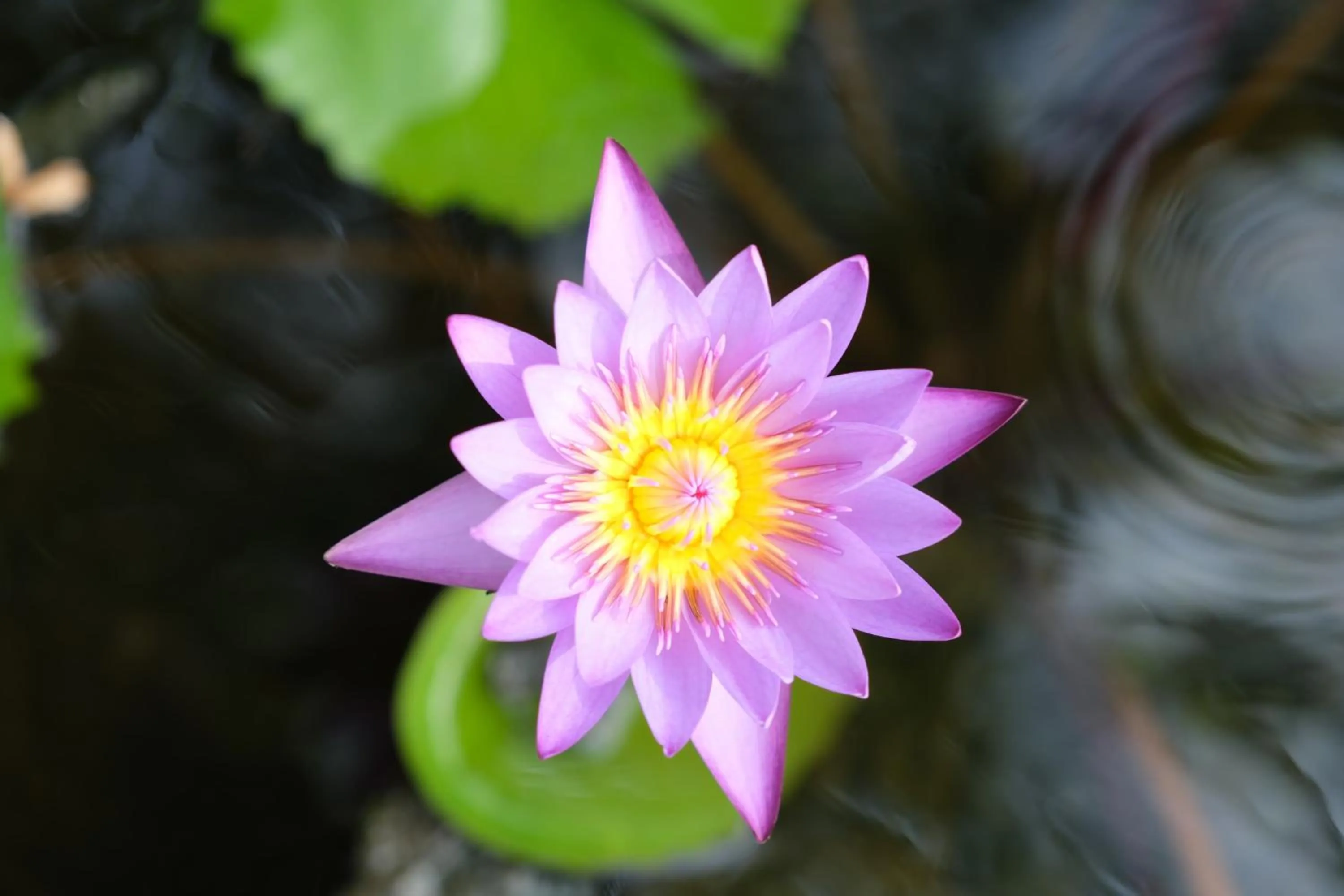 Property building in Jivana Resort