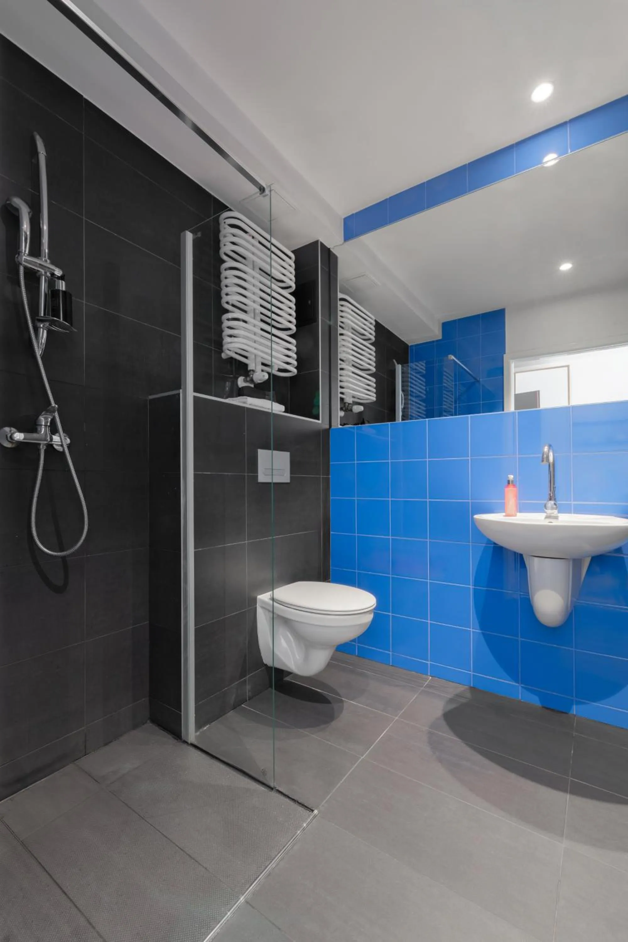 Bathroom in Esperanto Home