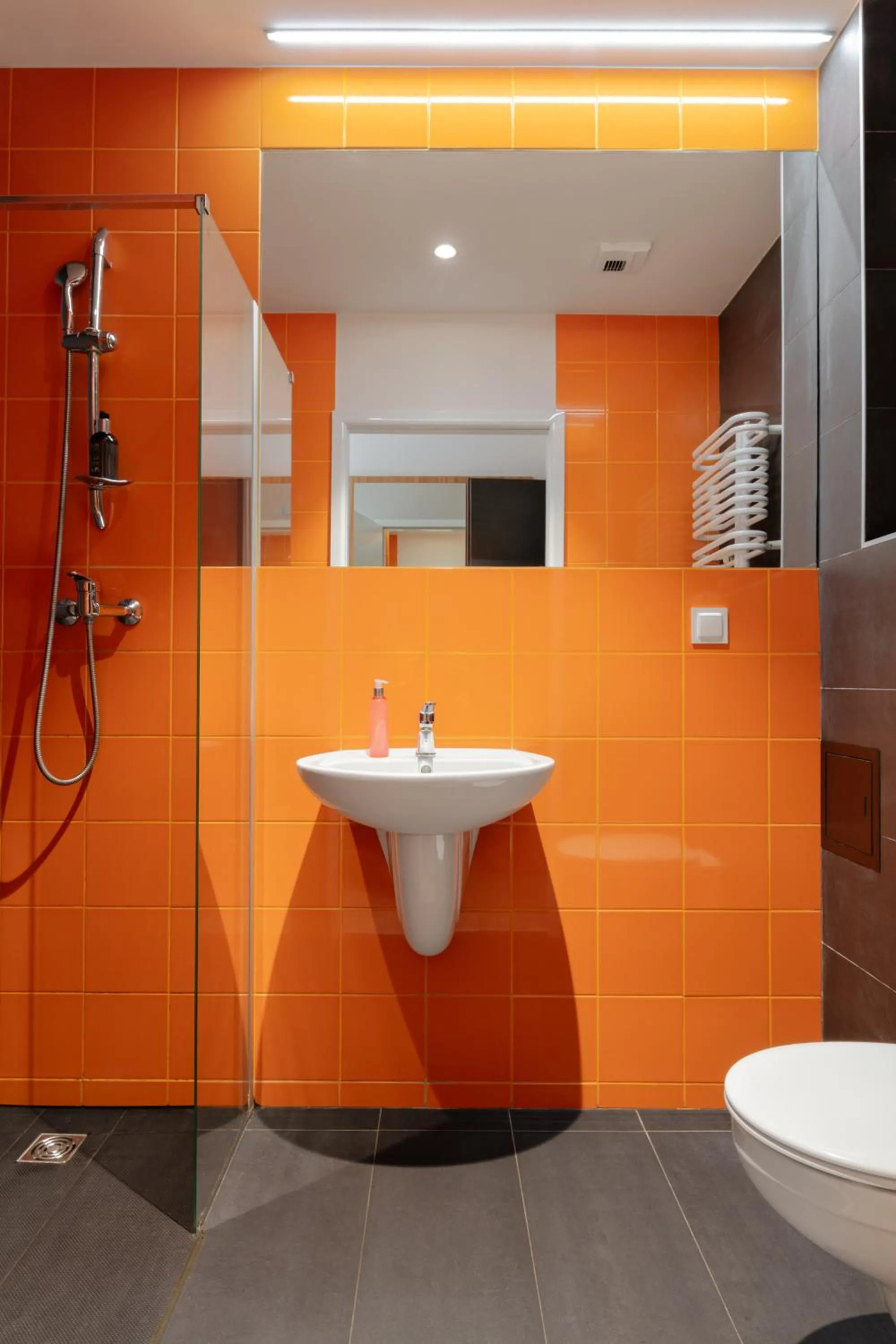 Bathroom in Esperanto Home