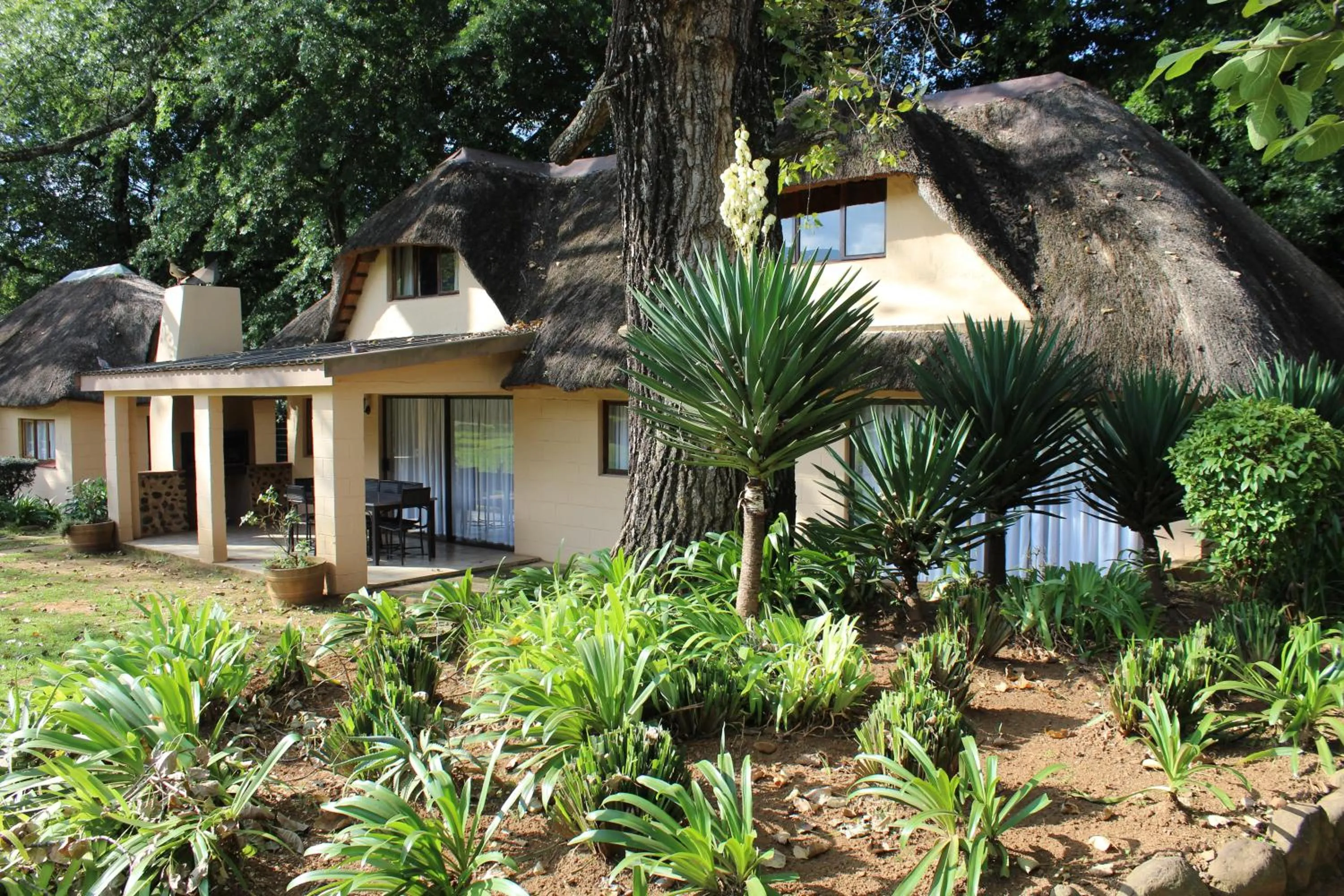 Photo of the whole room in Dragon Peaks Mountain Resort