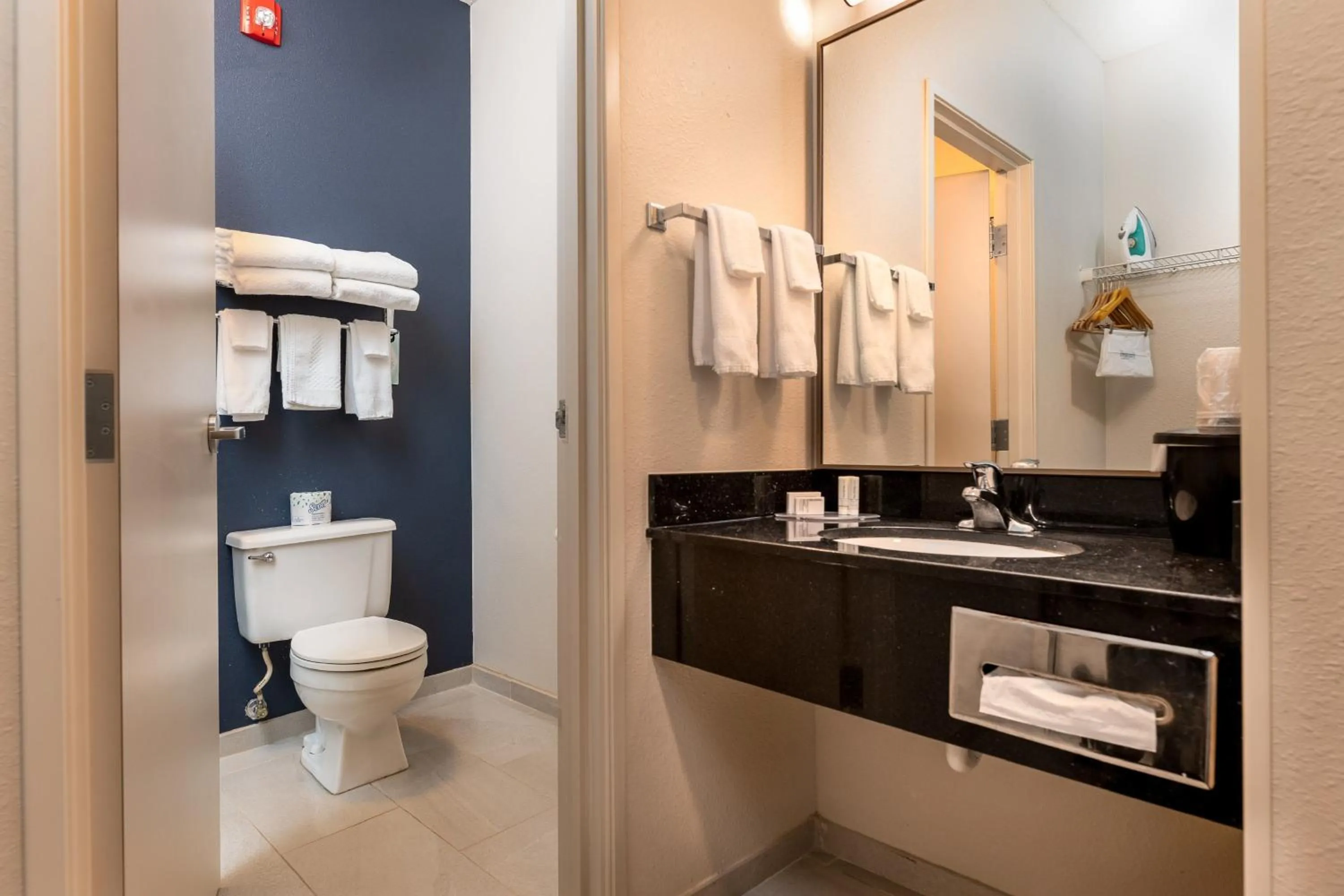 Bathroom in Fairfield Inn & Suites by Marriott Spearfish