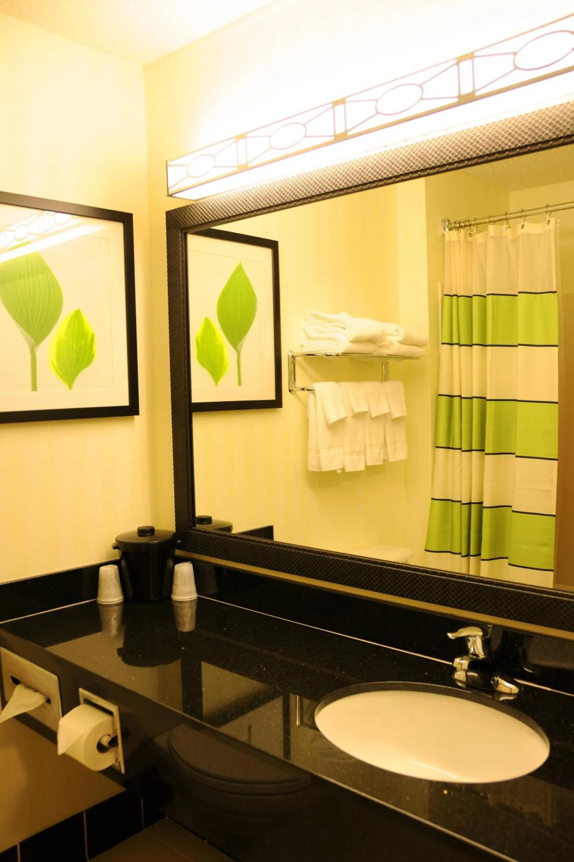 Bathroom in Fairfield Inn & Suites by Marriott Spearfish