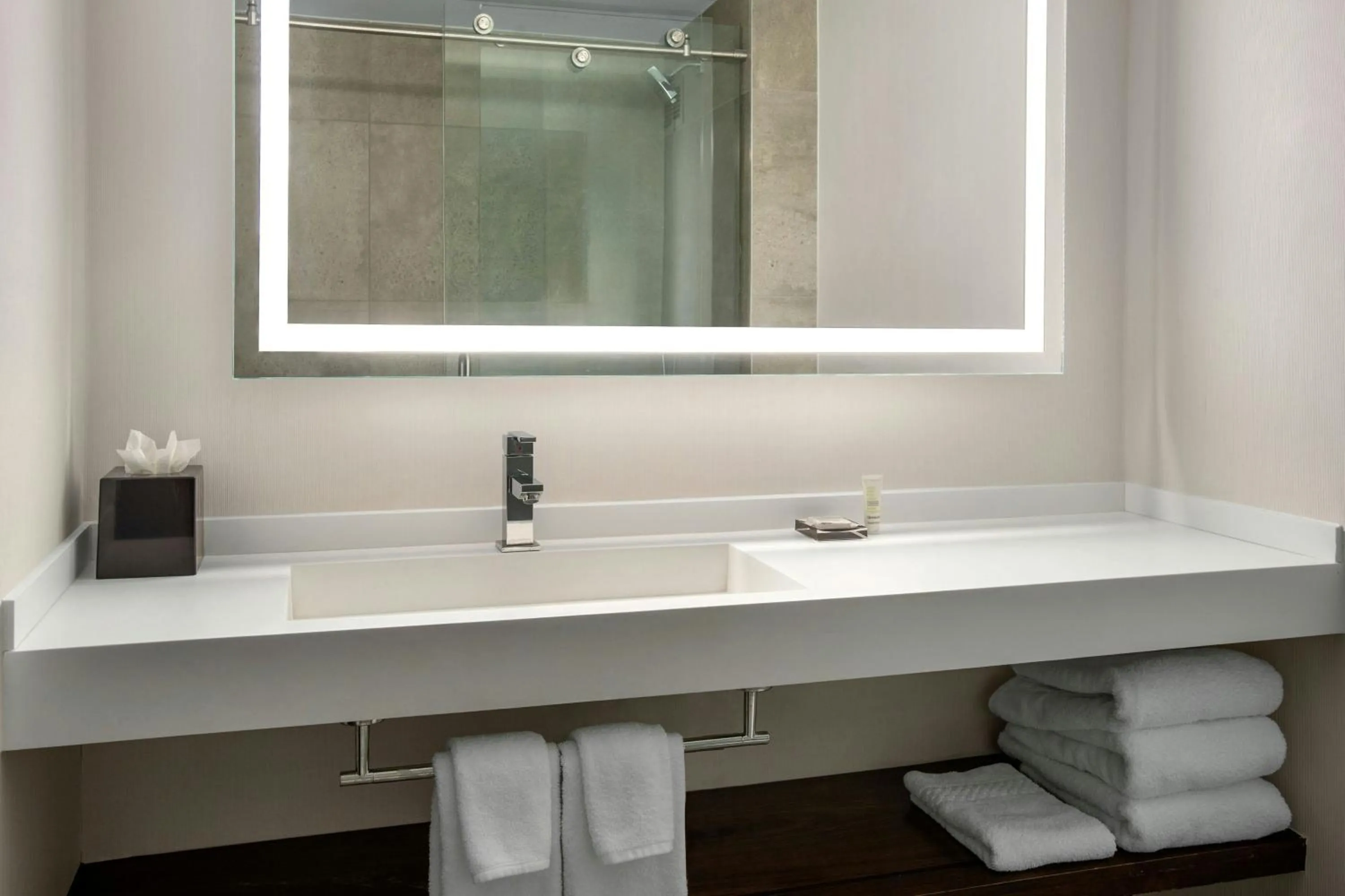 Bathroom in Richmond Marriott Short Pump