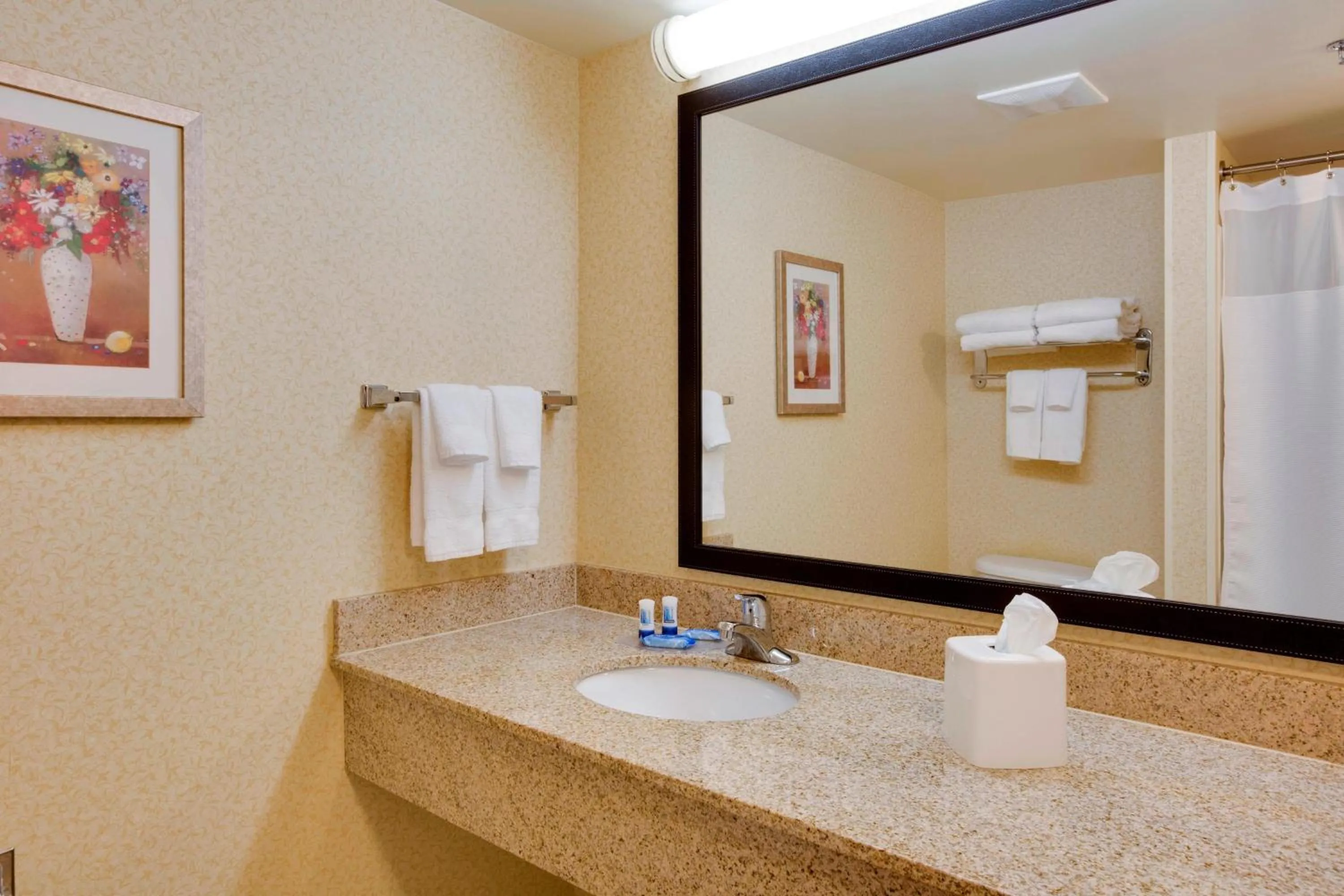 Bathroom in Fairfield Inn and Suites South Hill I-85