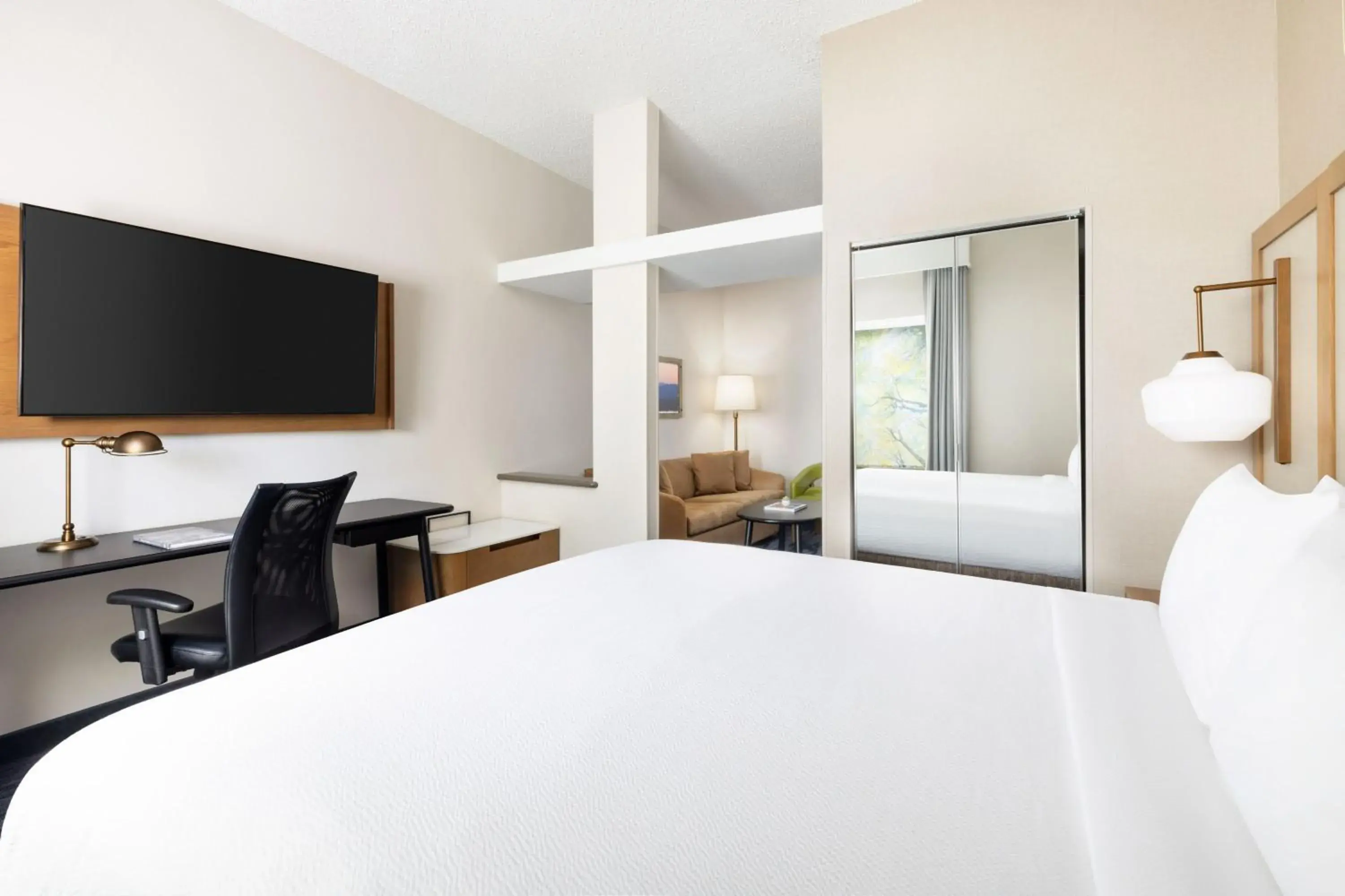 One-Bedroom King Suite with Sofa Bed in Fairfield Inn & Suites Roswell One-Bedroom King Suite with Sofa Bed in Fairfield Inn & Suites Roswell