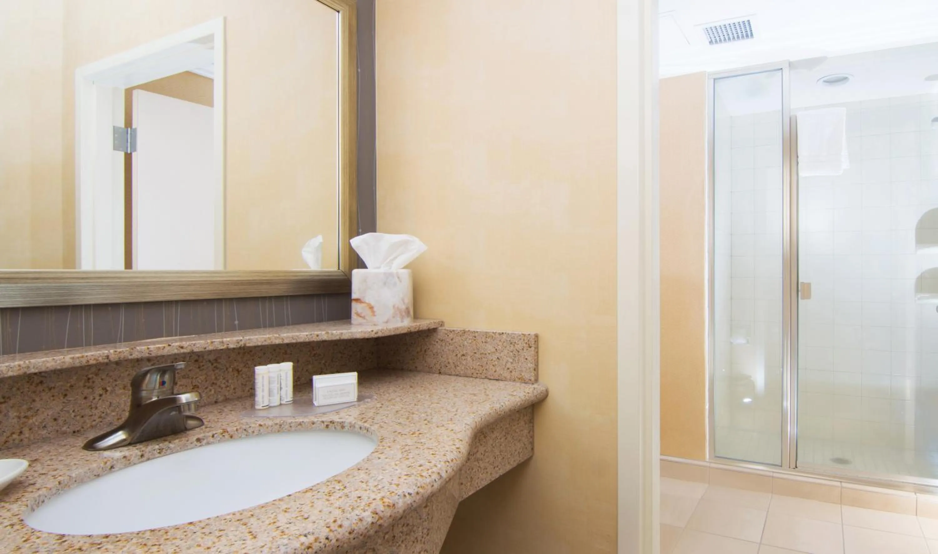 Shower in Courtyard Rochester Mayo Clinic Area/Saint Marys