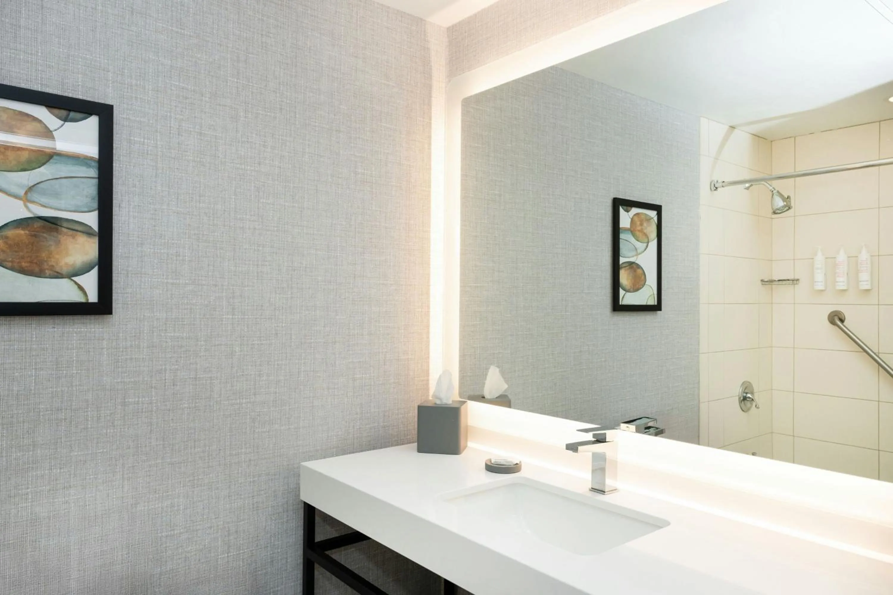 Bathroom in Rochester Marriott Mayo Clinic Area