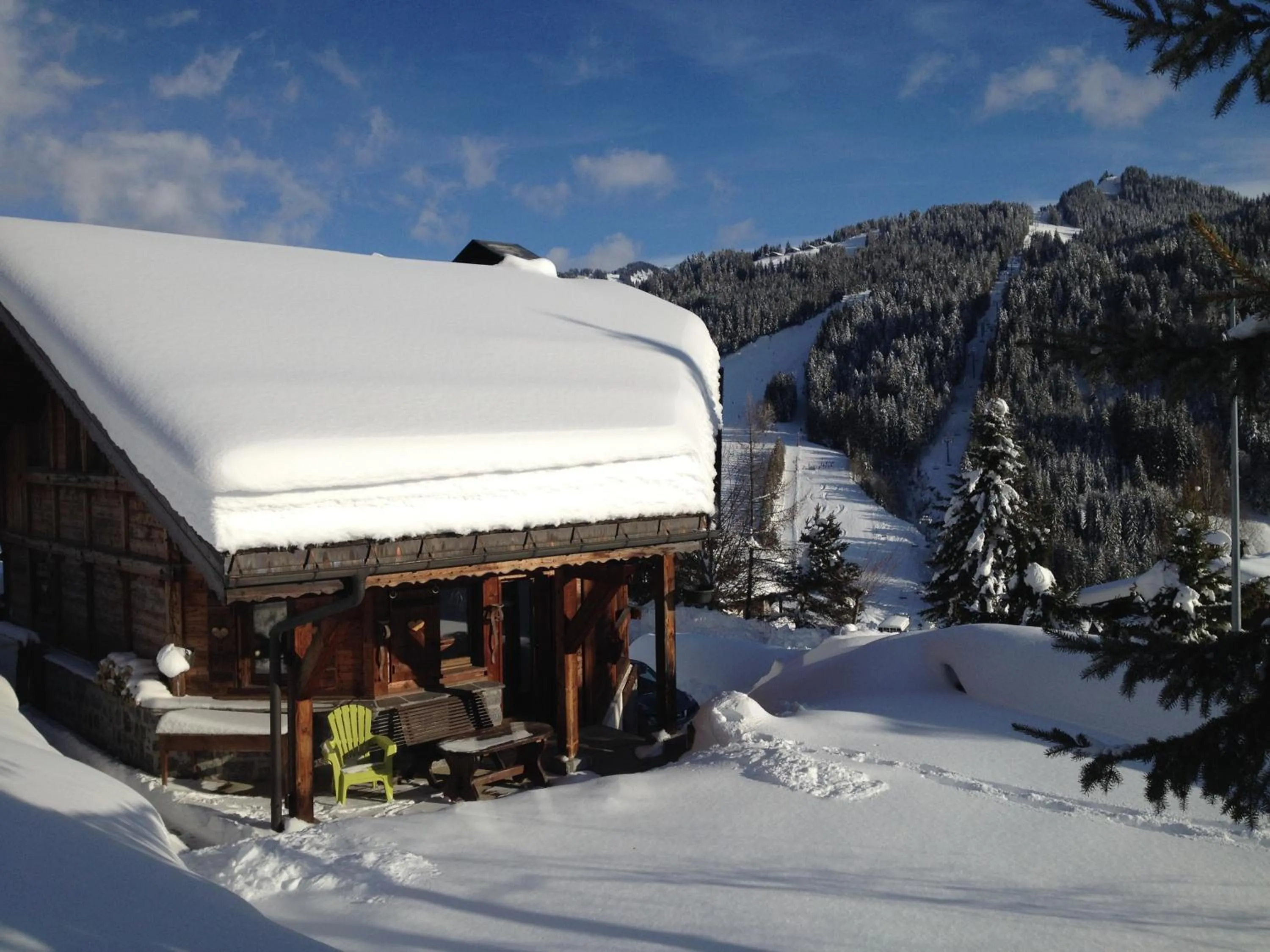 Chalet Camomille