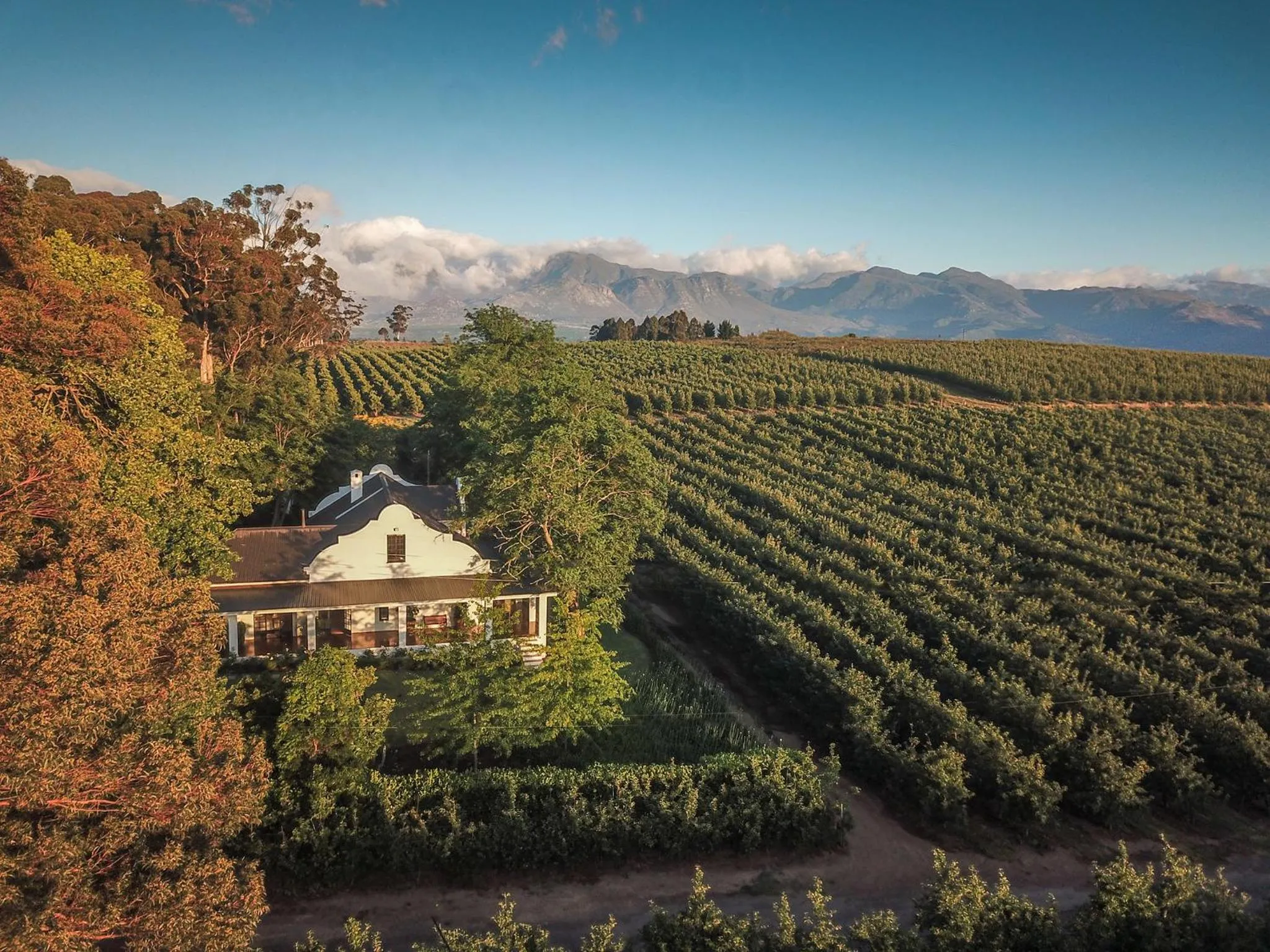 Bird's eye view in Elgin Country Lodge