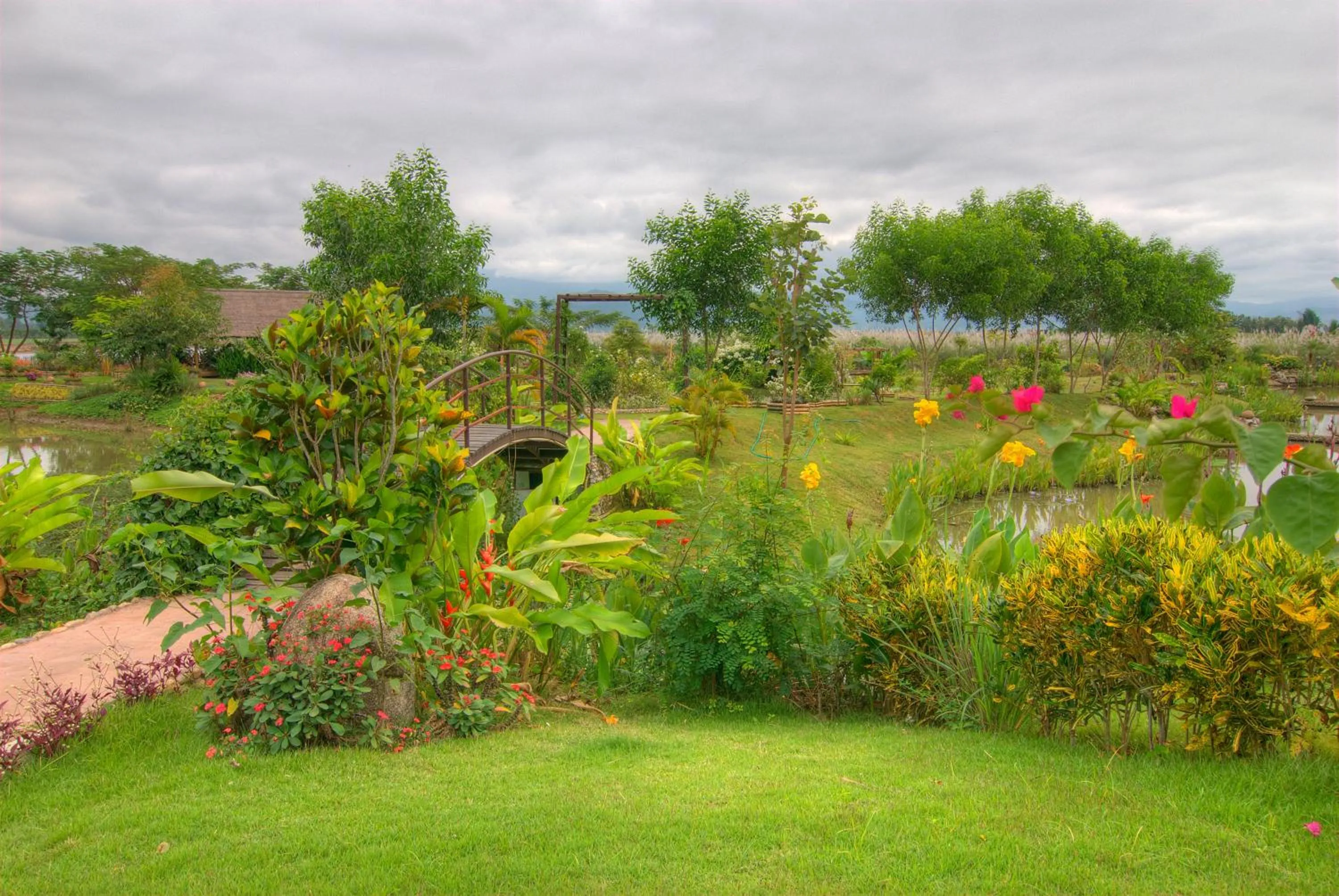 Other in Maekok River Village Resort