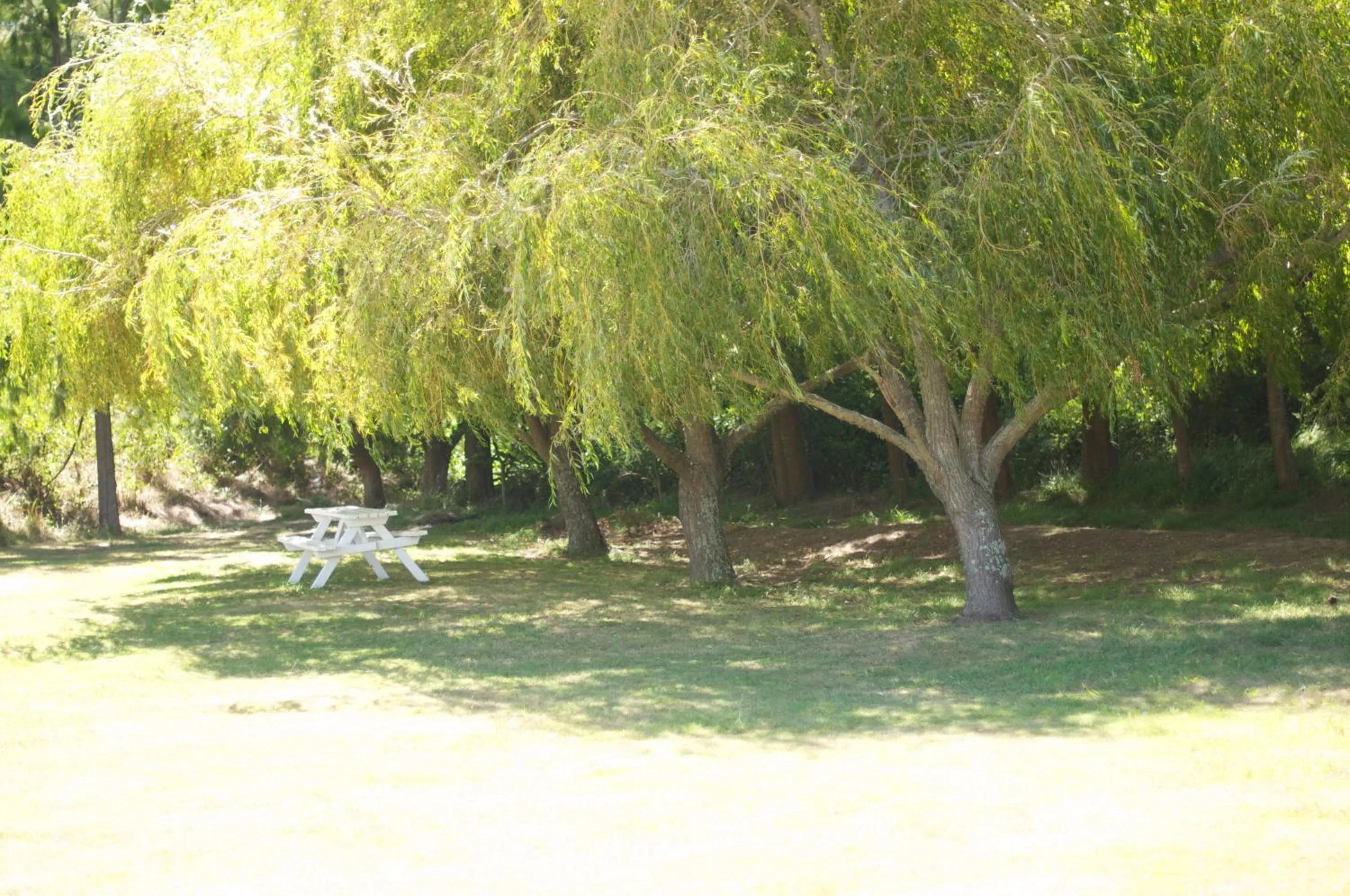 Garden in Chelmswood Motel Taupo