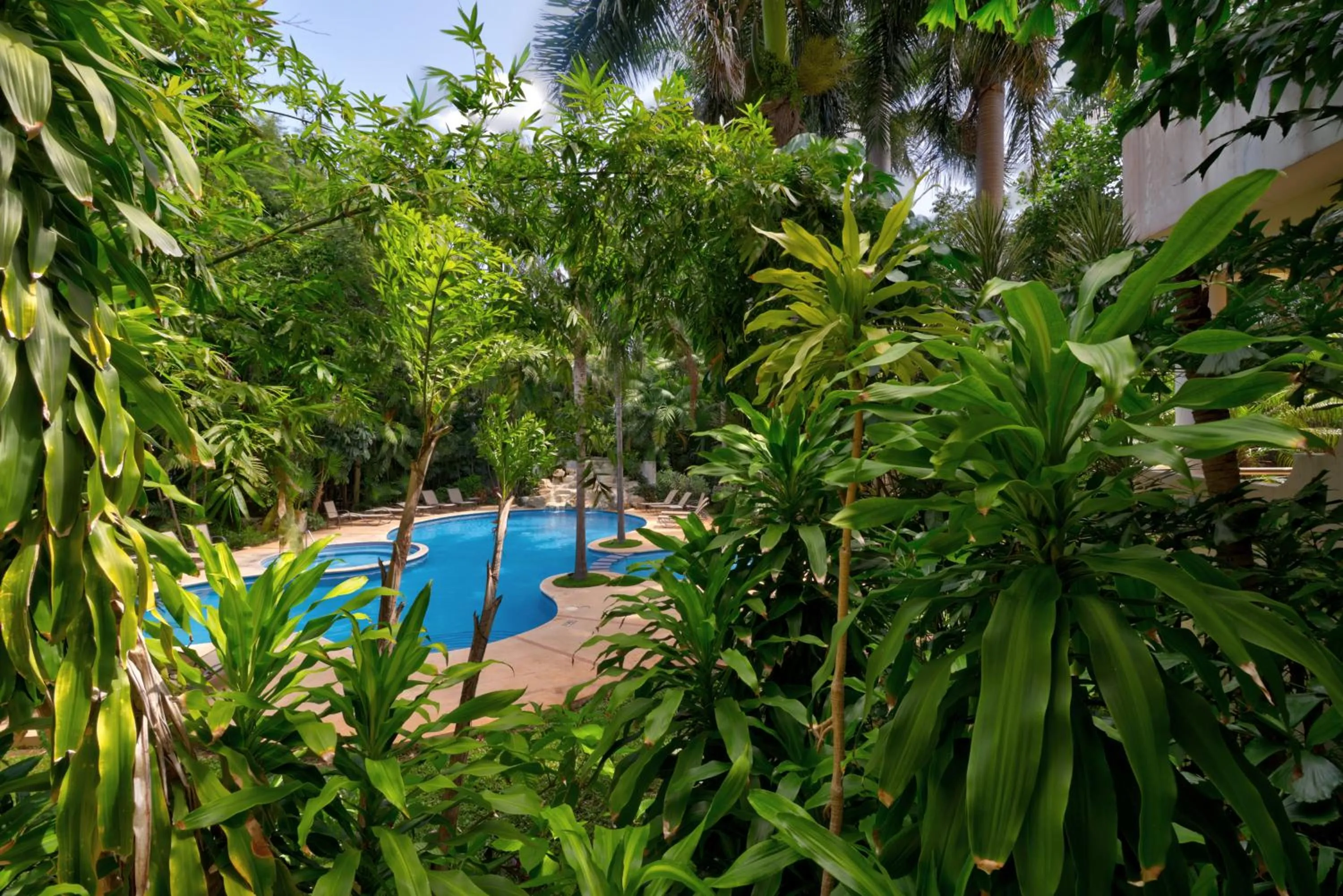 Spring in Riviera Maya Suites