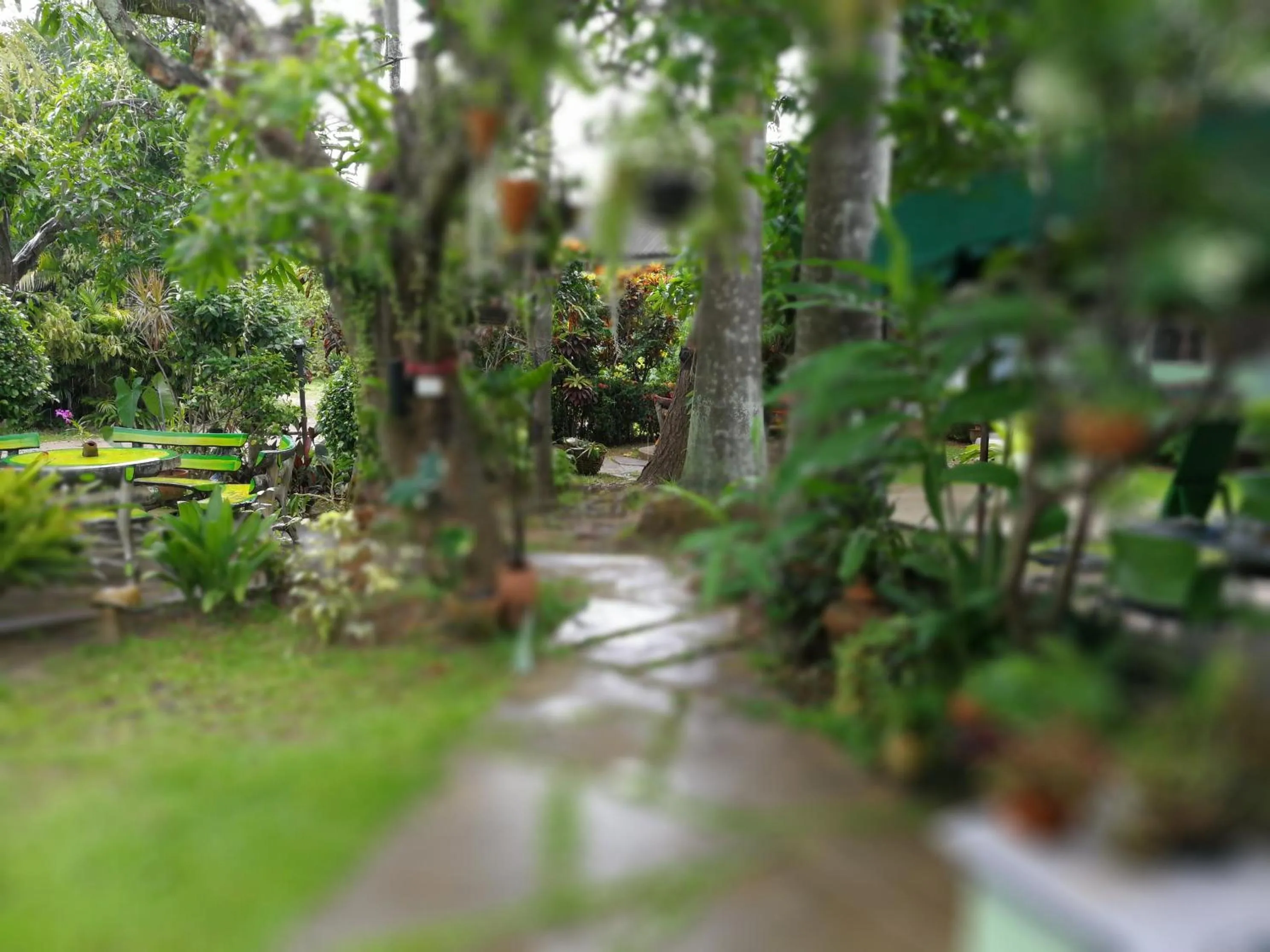 Garden in Baan Bua Guest House