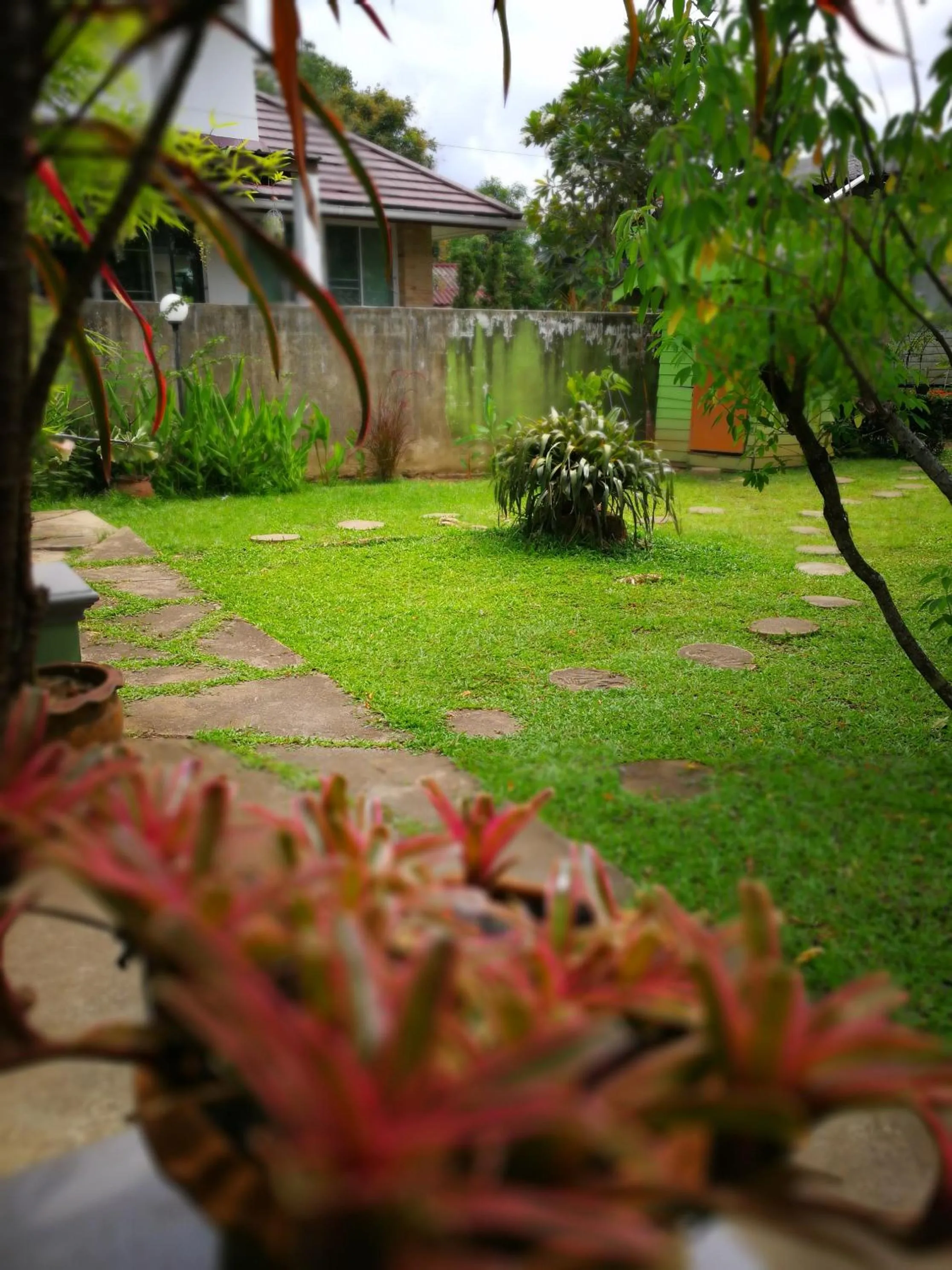 Garden in Baan Bua Guest House