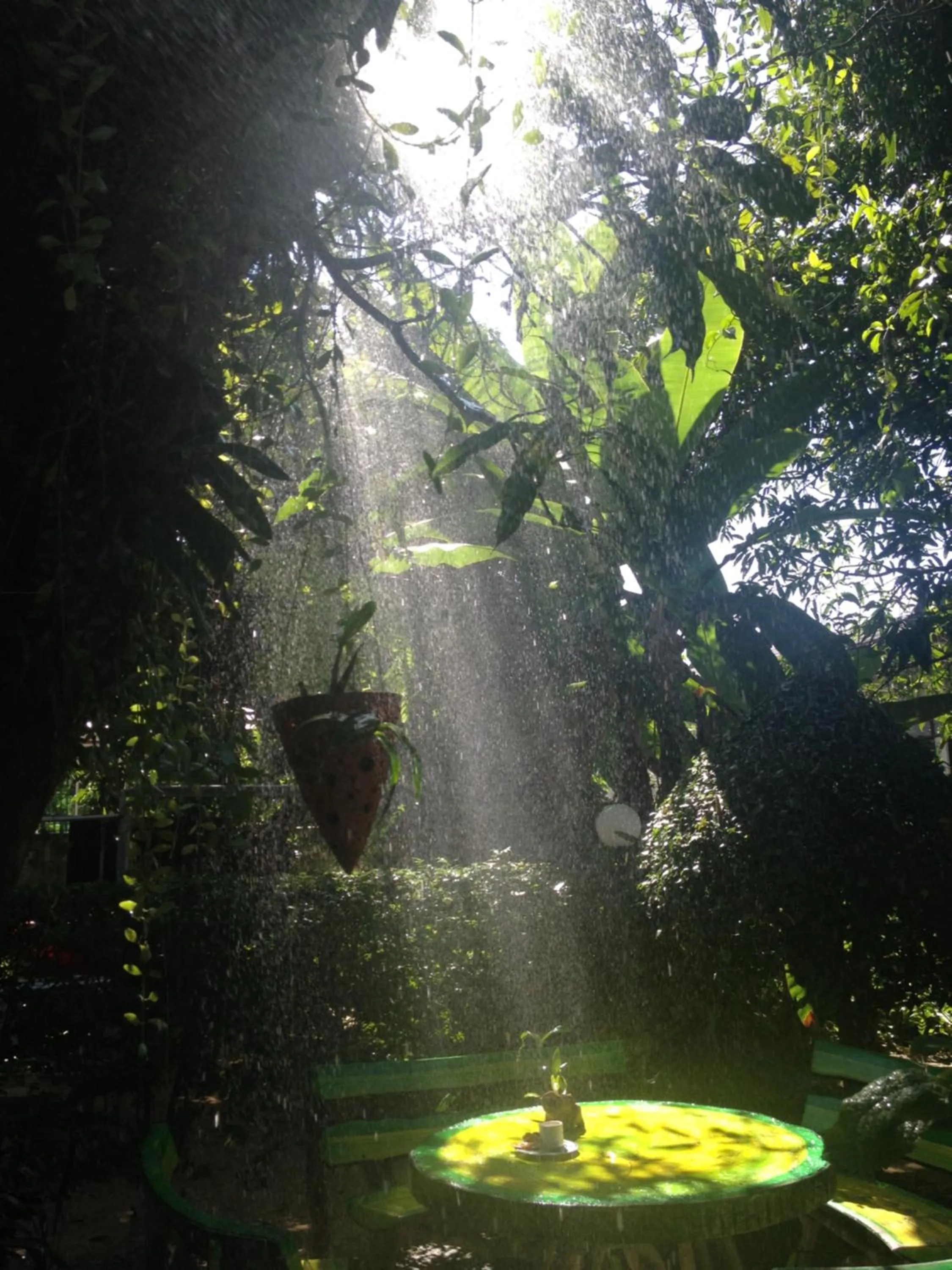 Garden in Baan Bua Guest House