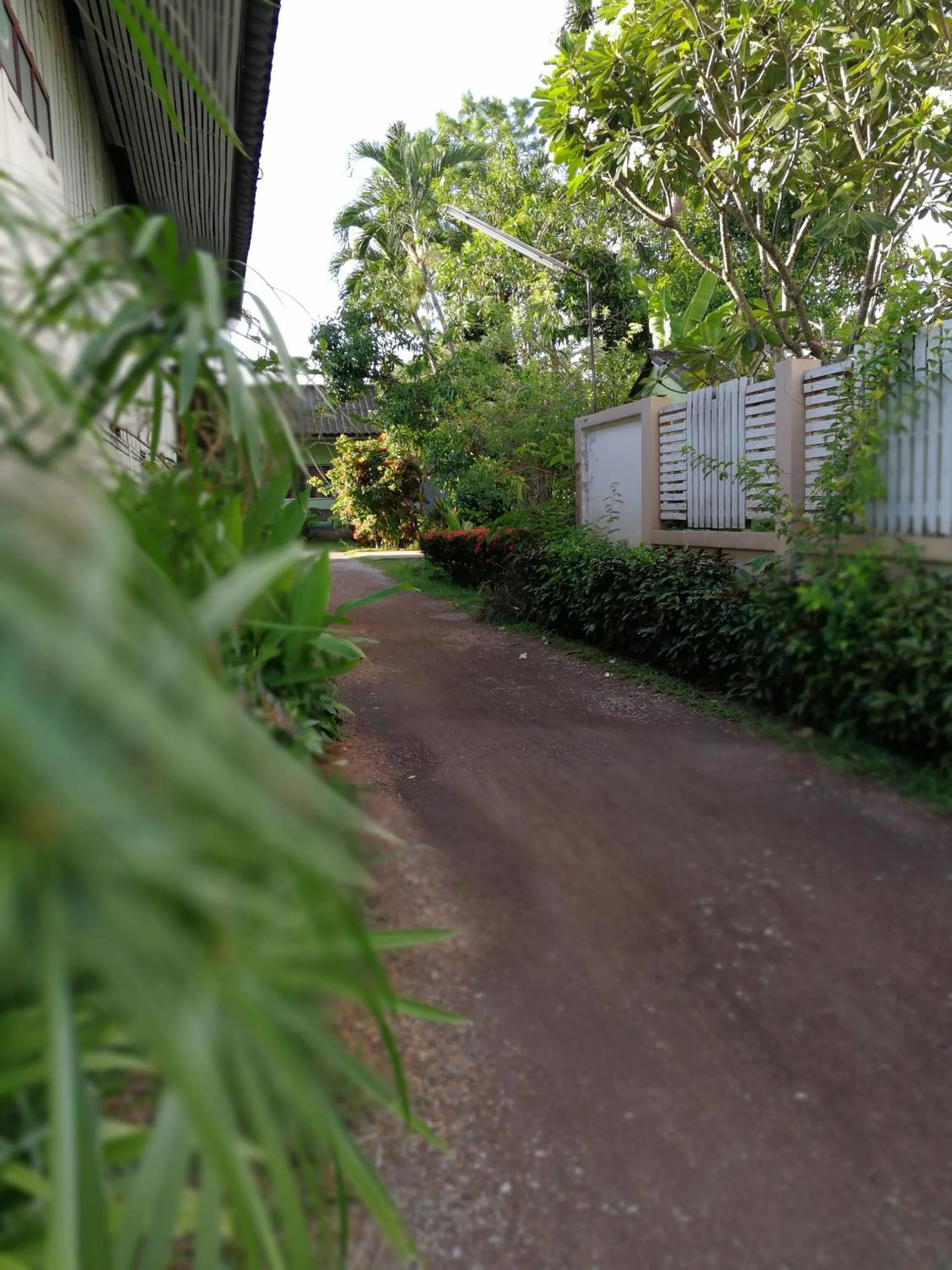 Facade/entrance in Baan Bua Guest House