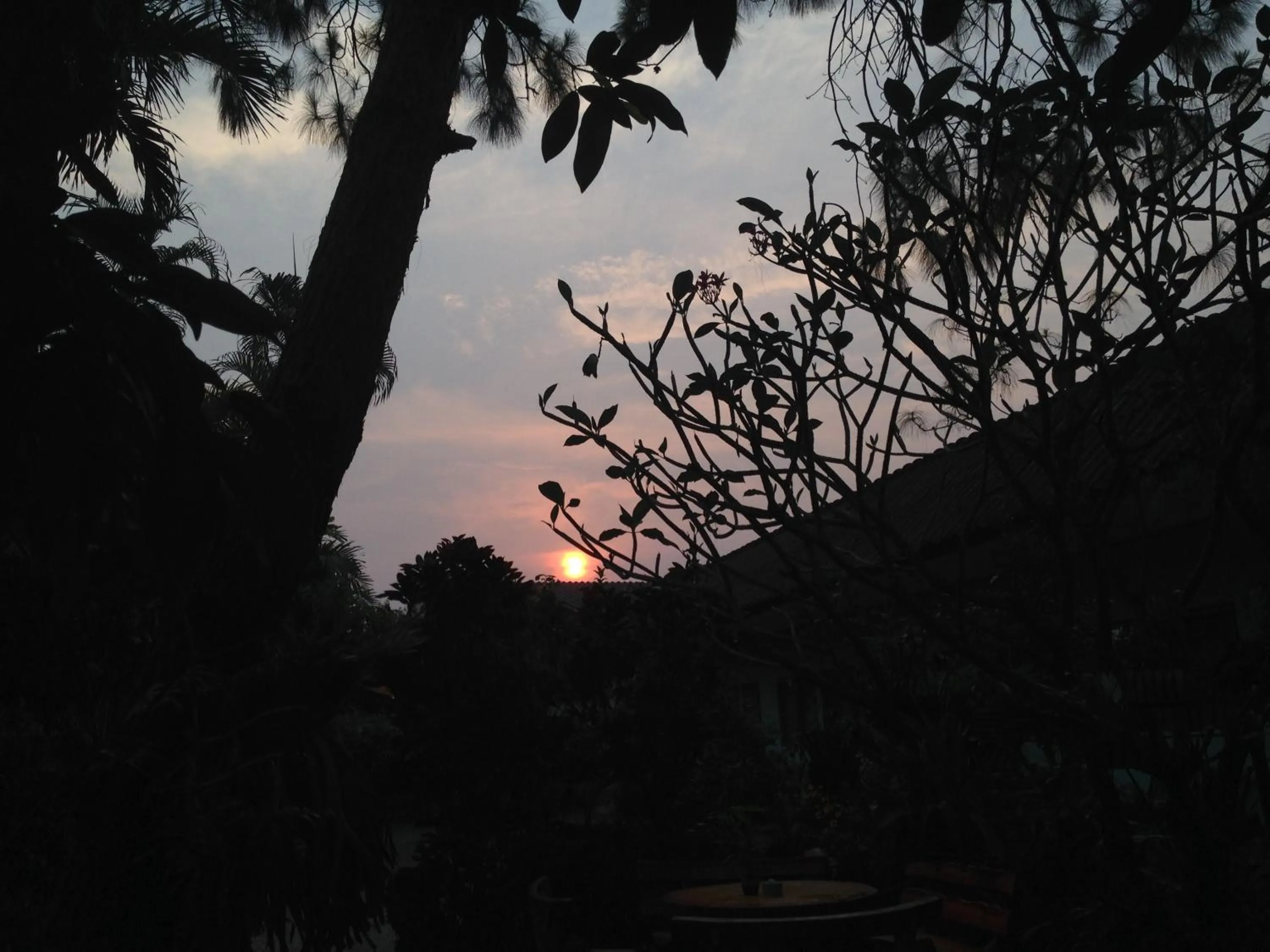 Garden view in Baan Bua Guest House
