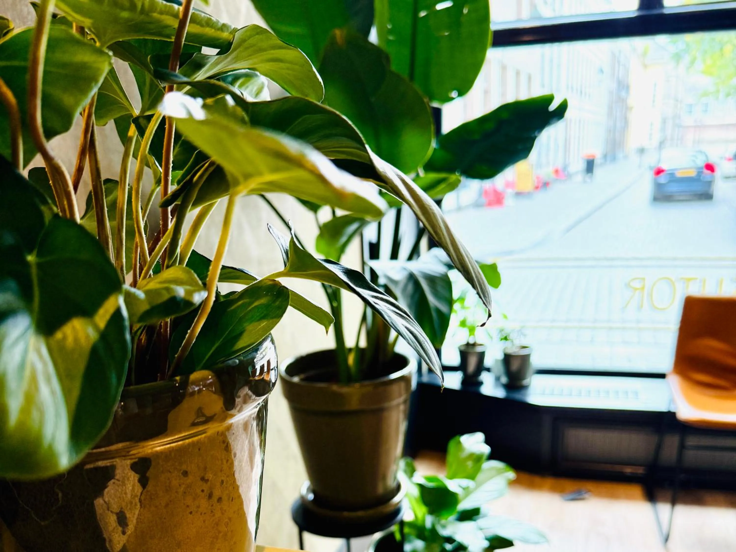 Property building in Hotel Sutor