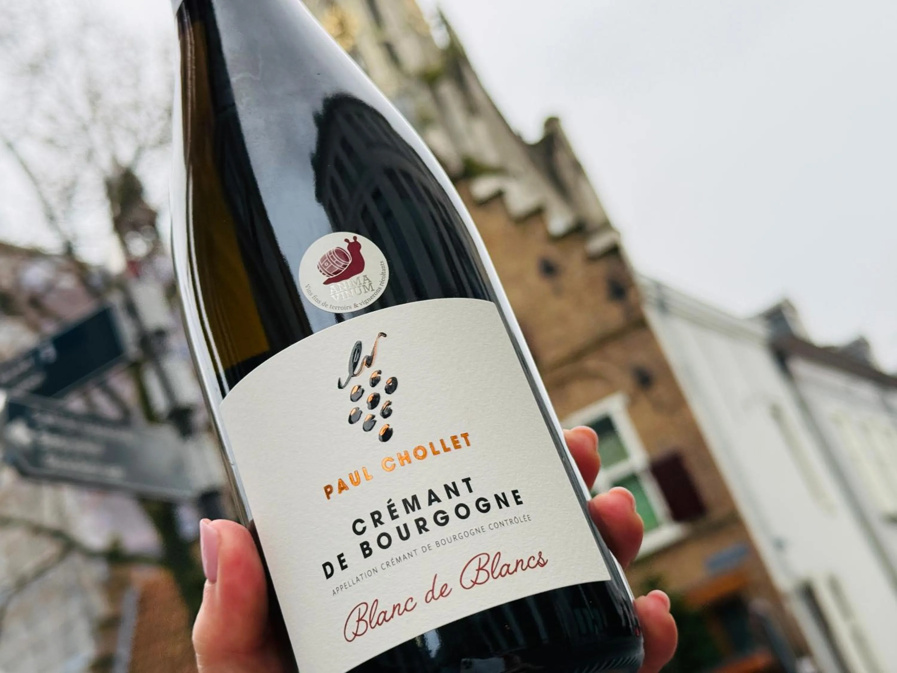 Food and drinks in Hotel Sutor