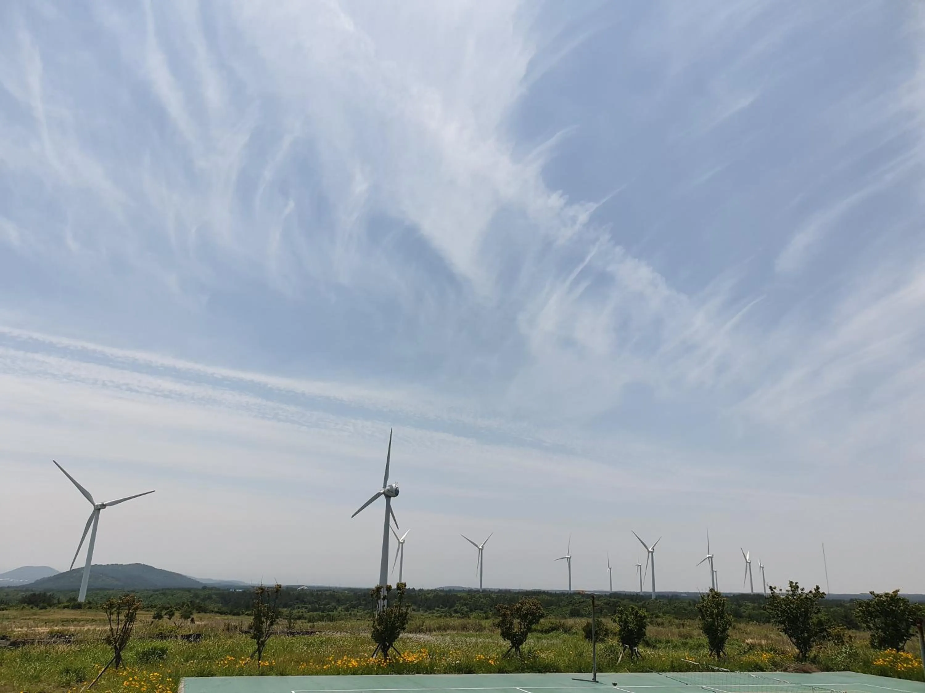 Natural landscape in Brassica Flower Pension