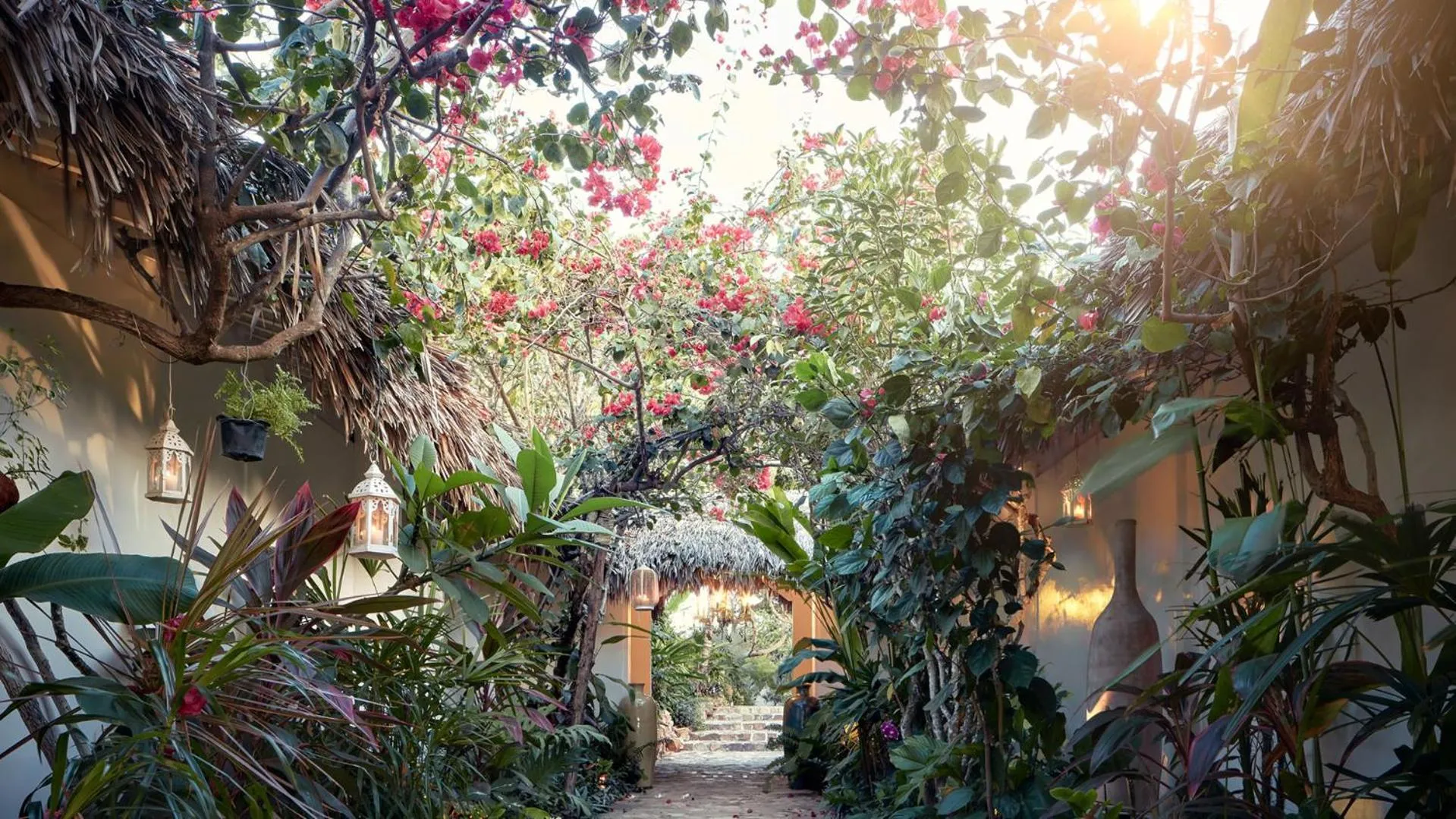 Garden in The Chili Beach Private Resort