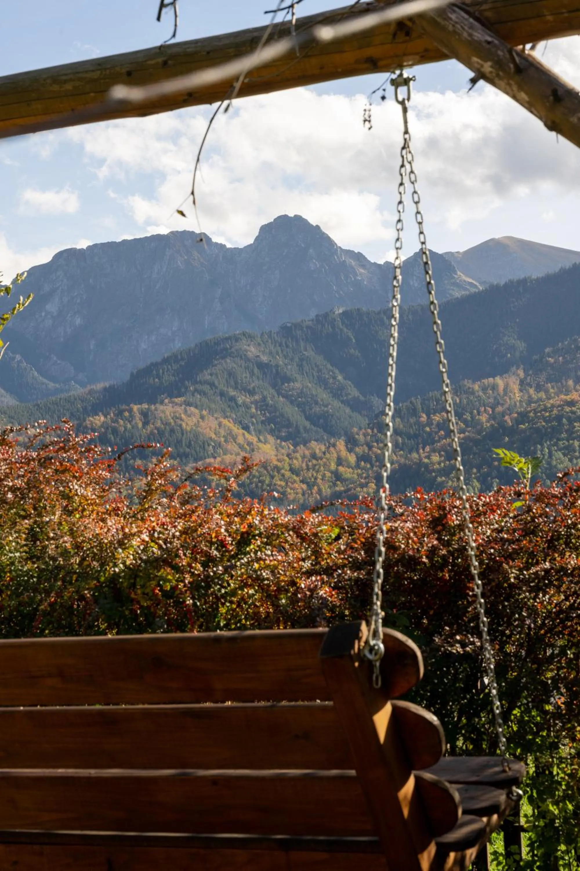 Natural landscape in Panorama Premium