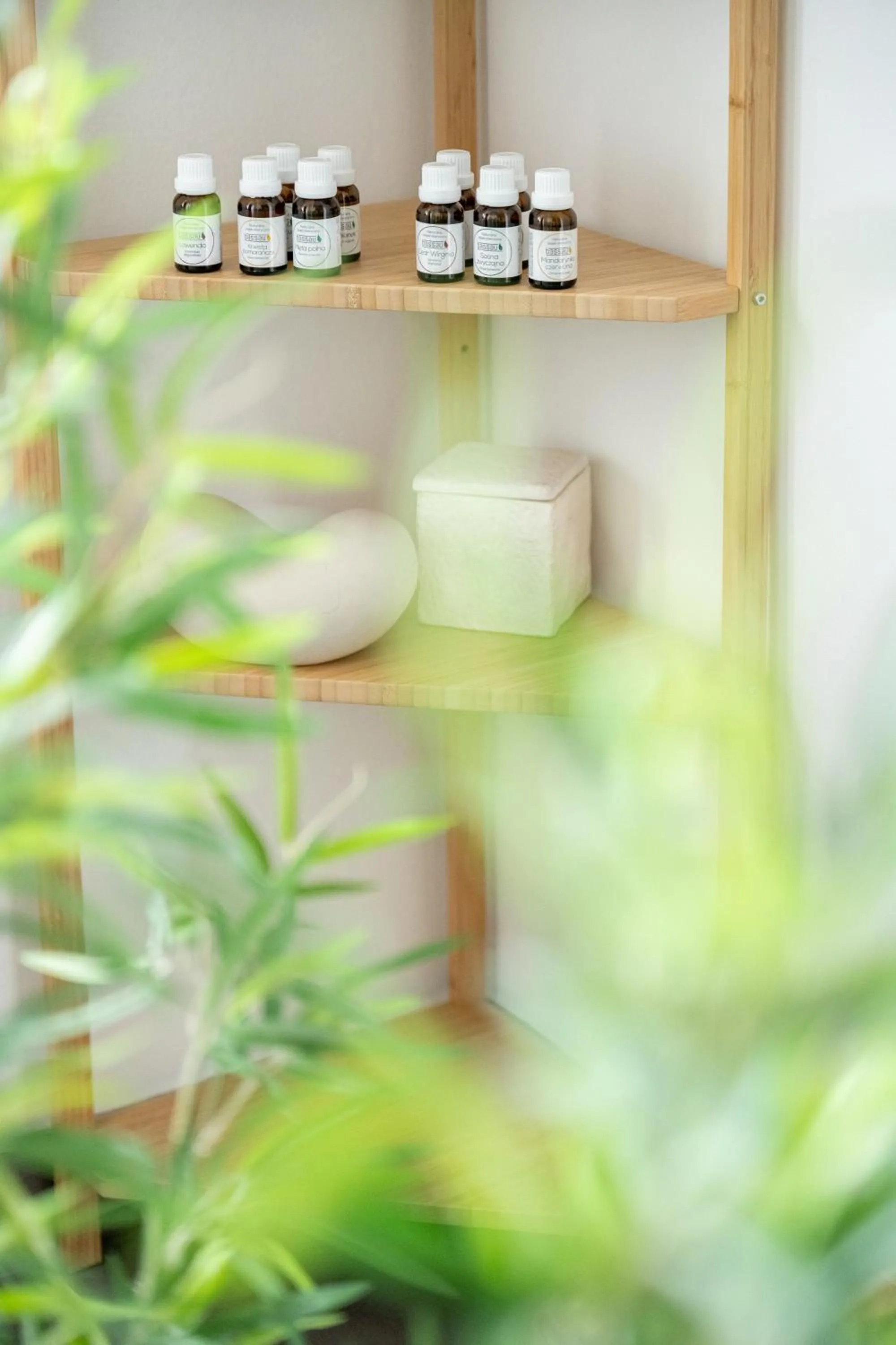 Sauna in Panorama Premium