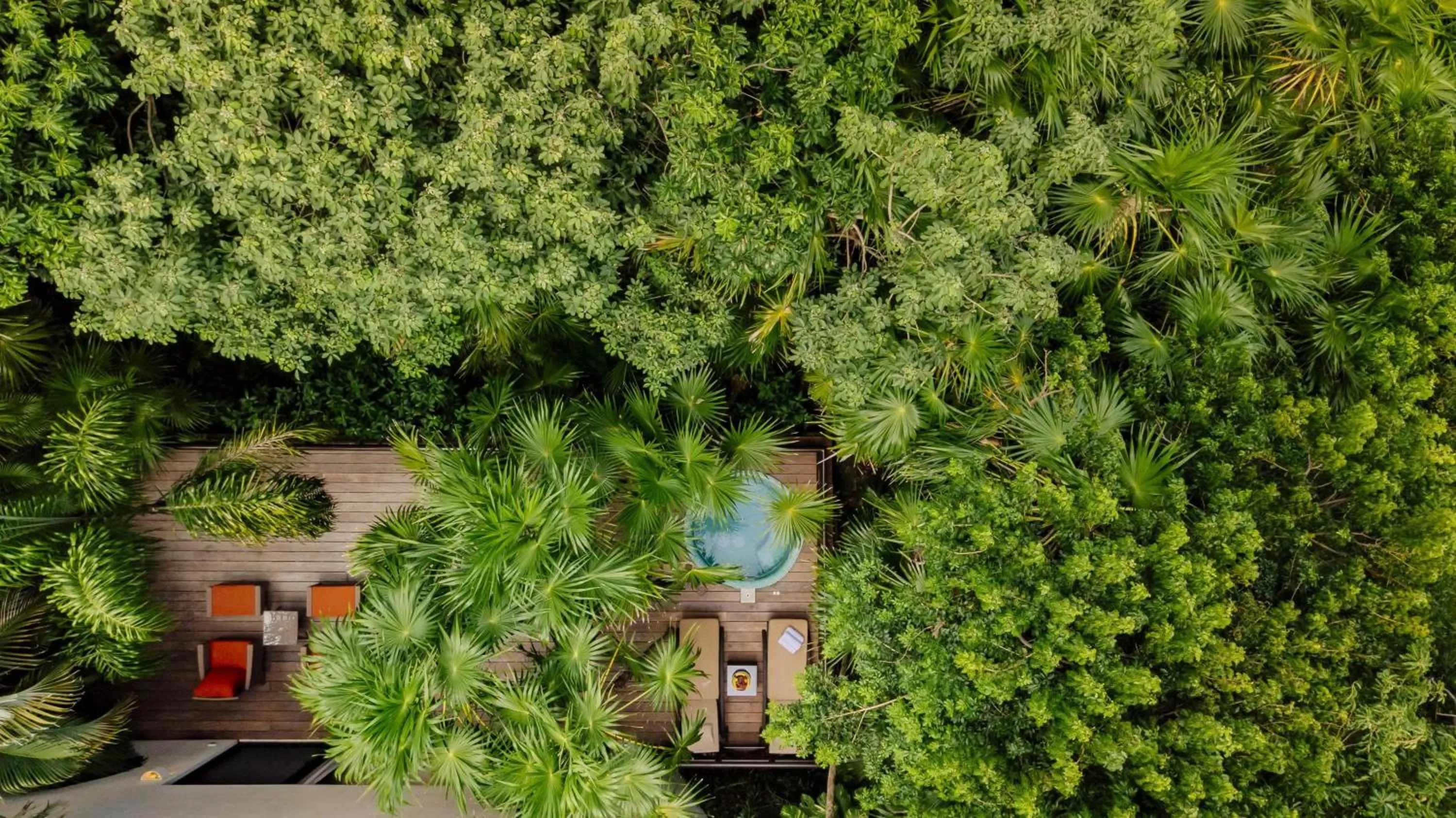 View (from property/room) in Occidental at Xcaret Destination - All Inclusive