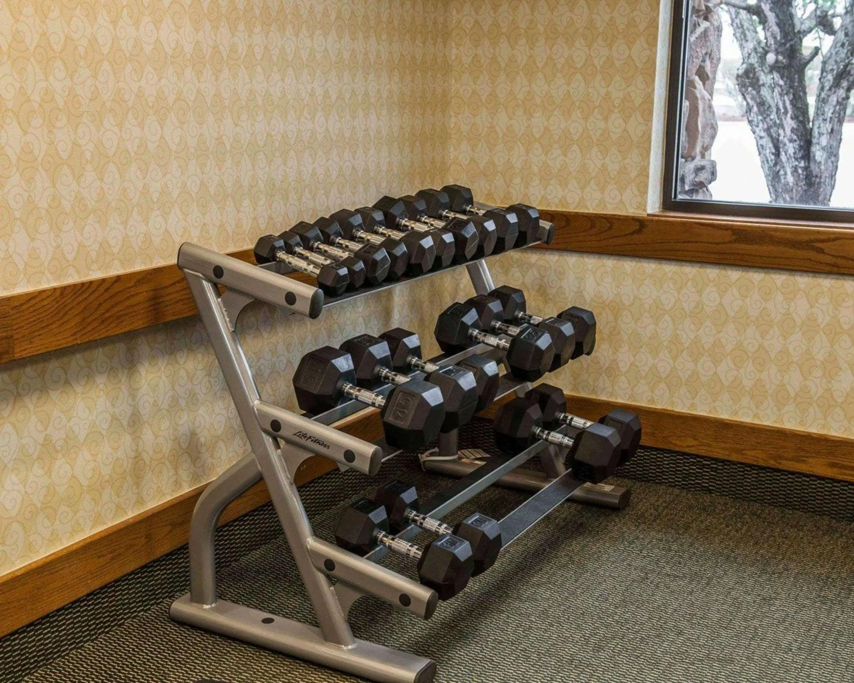 Fitness centre/facilities in Quality Inn & Suites Goshen