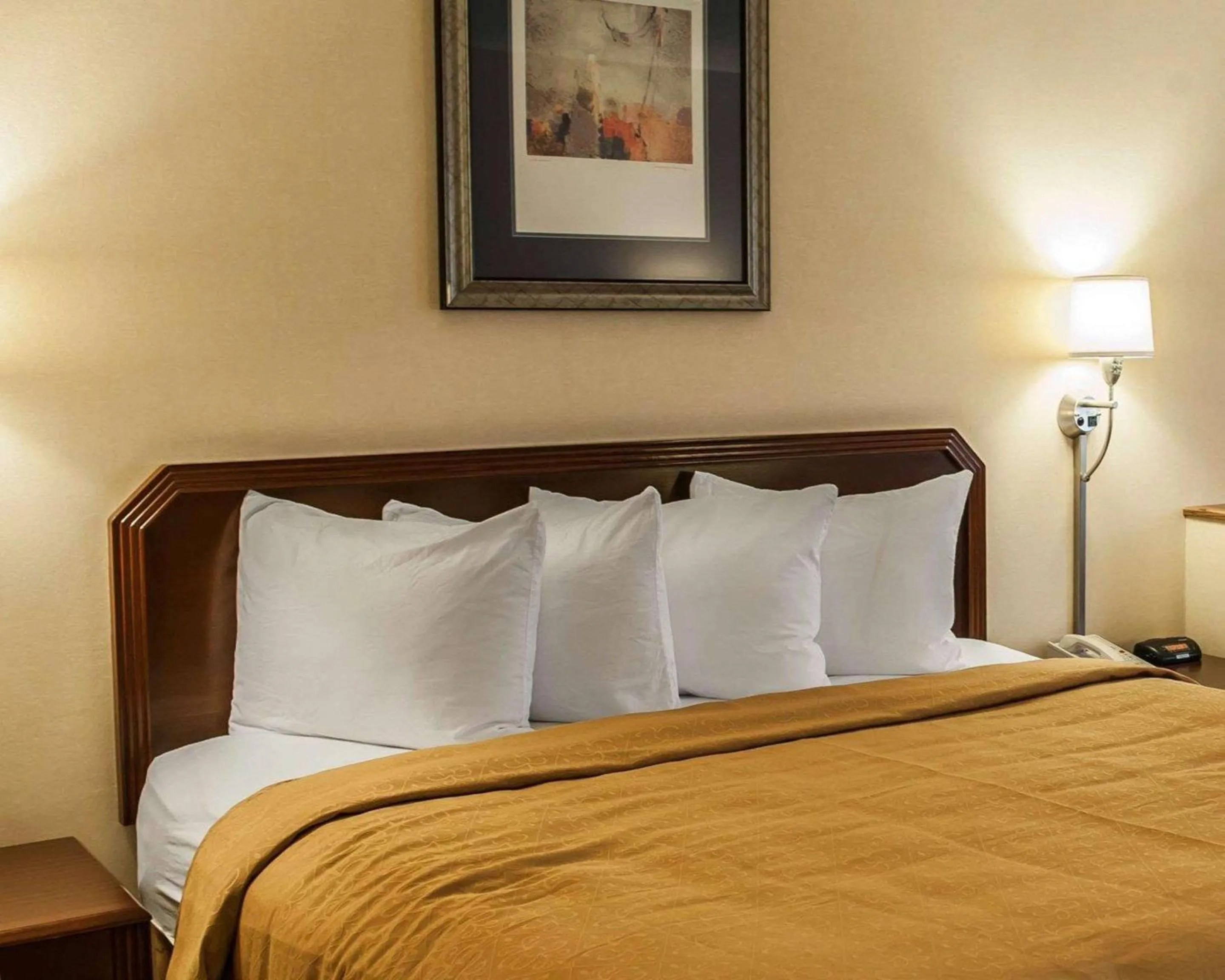 Bedroom, Bed in Quality Inn & Suites Goshen