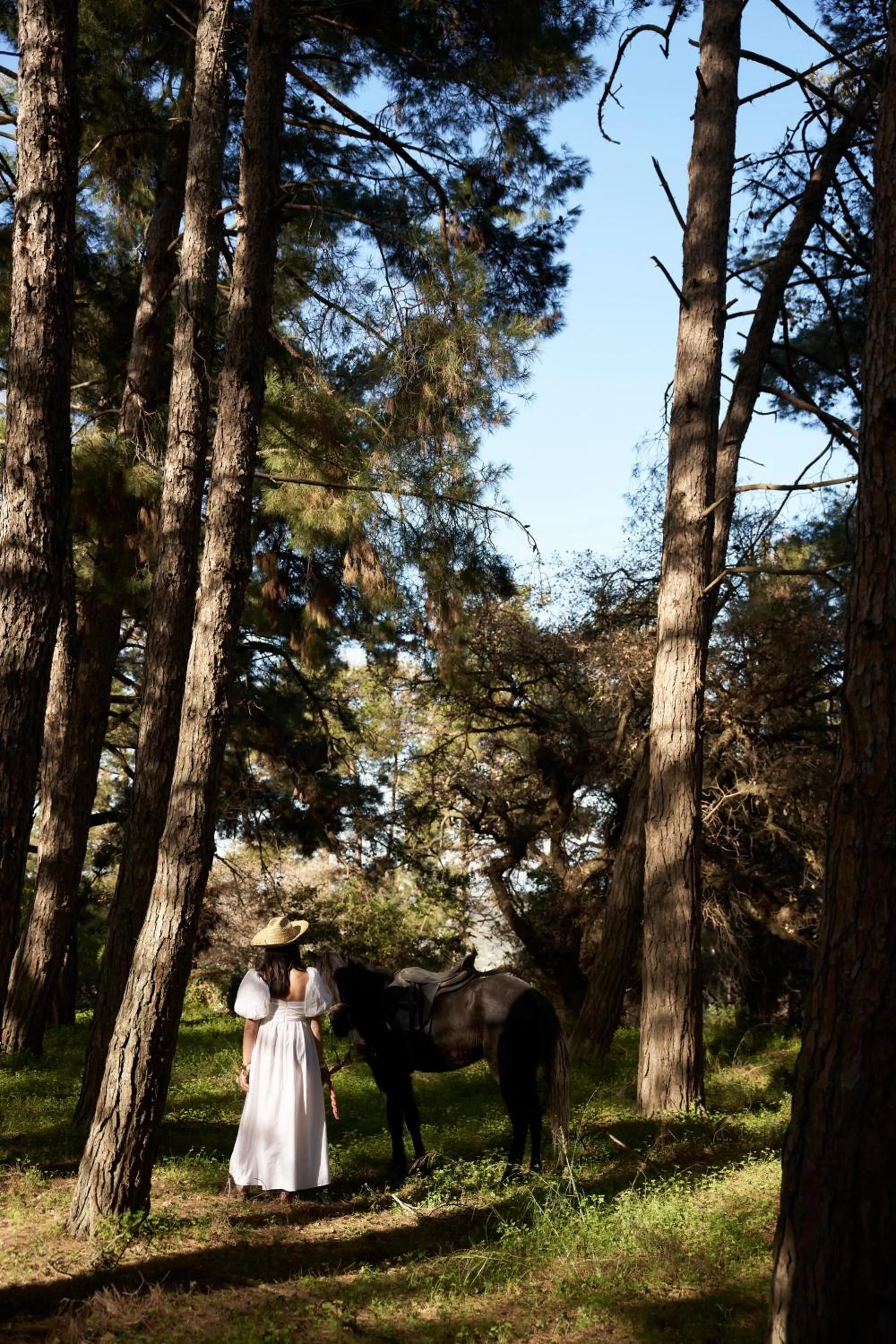 Natural landscape in Eliathos Hillside Retreat