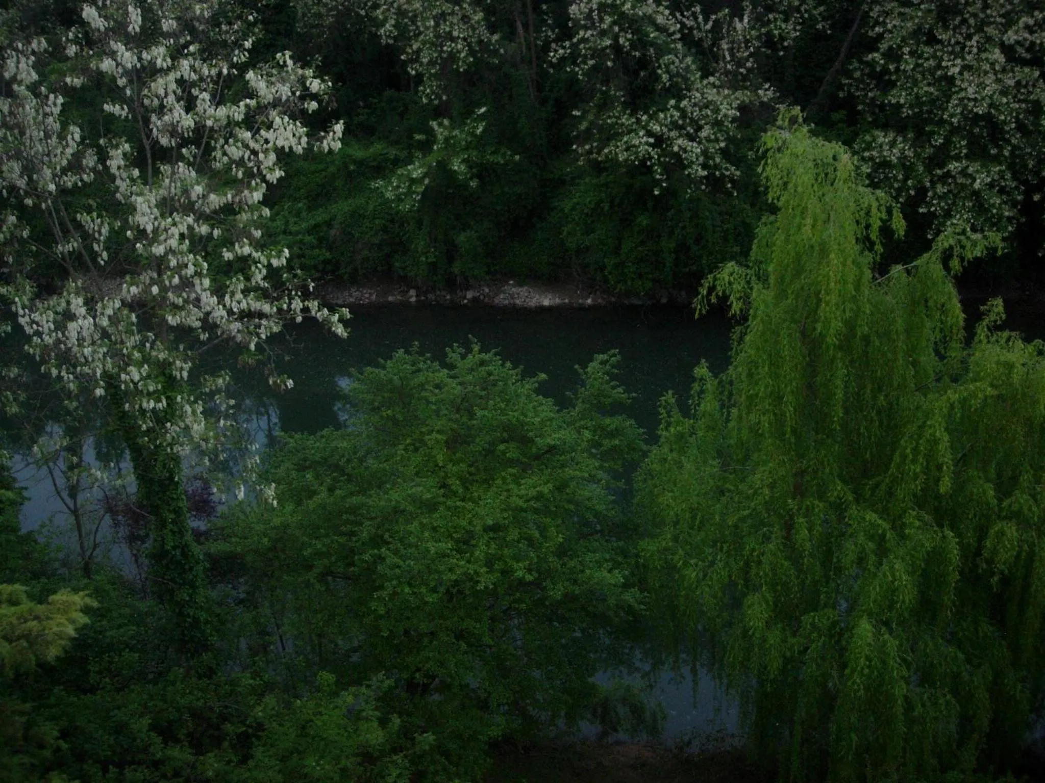 Property building in Suite Color Verona