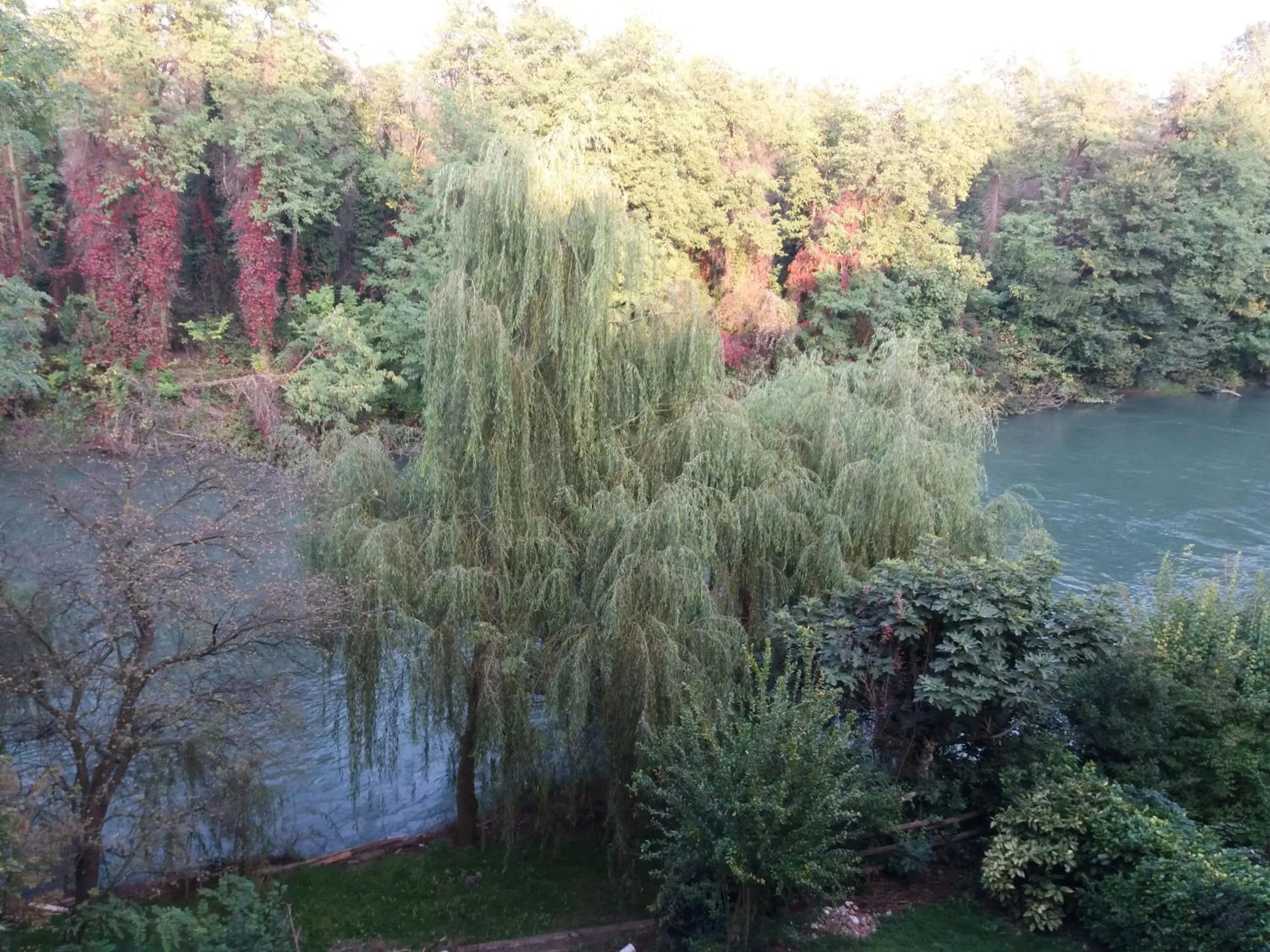 Natural landscape in Suite Color Verona