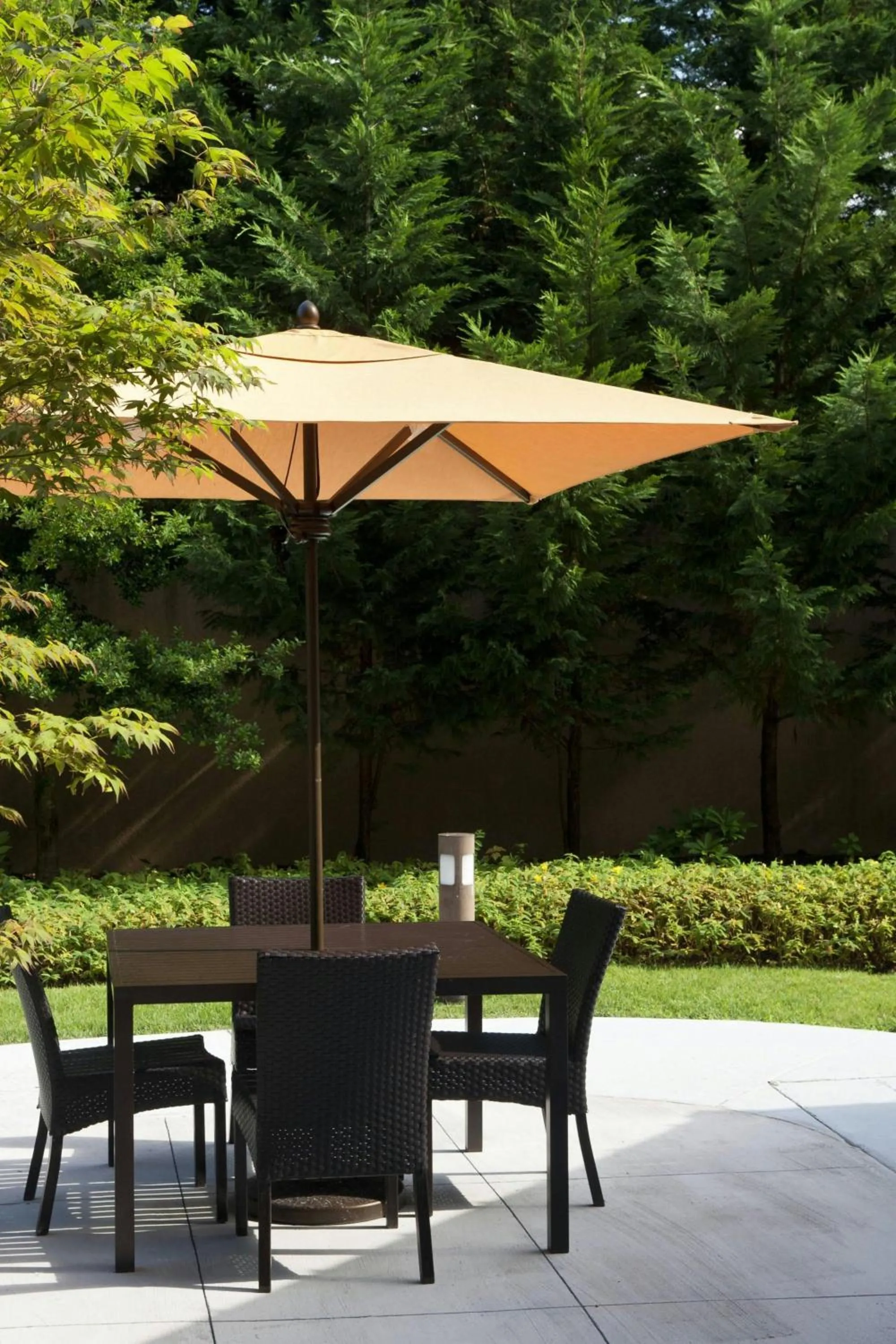 Restaurant/places to eat in Courtyard Harrisonburg